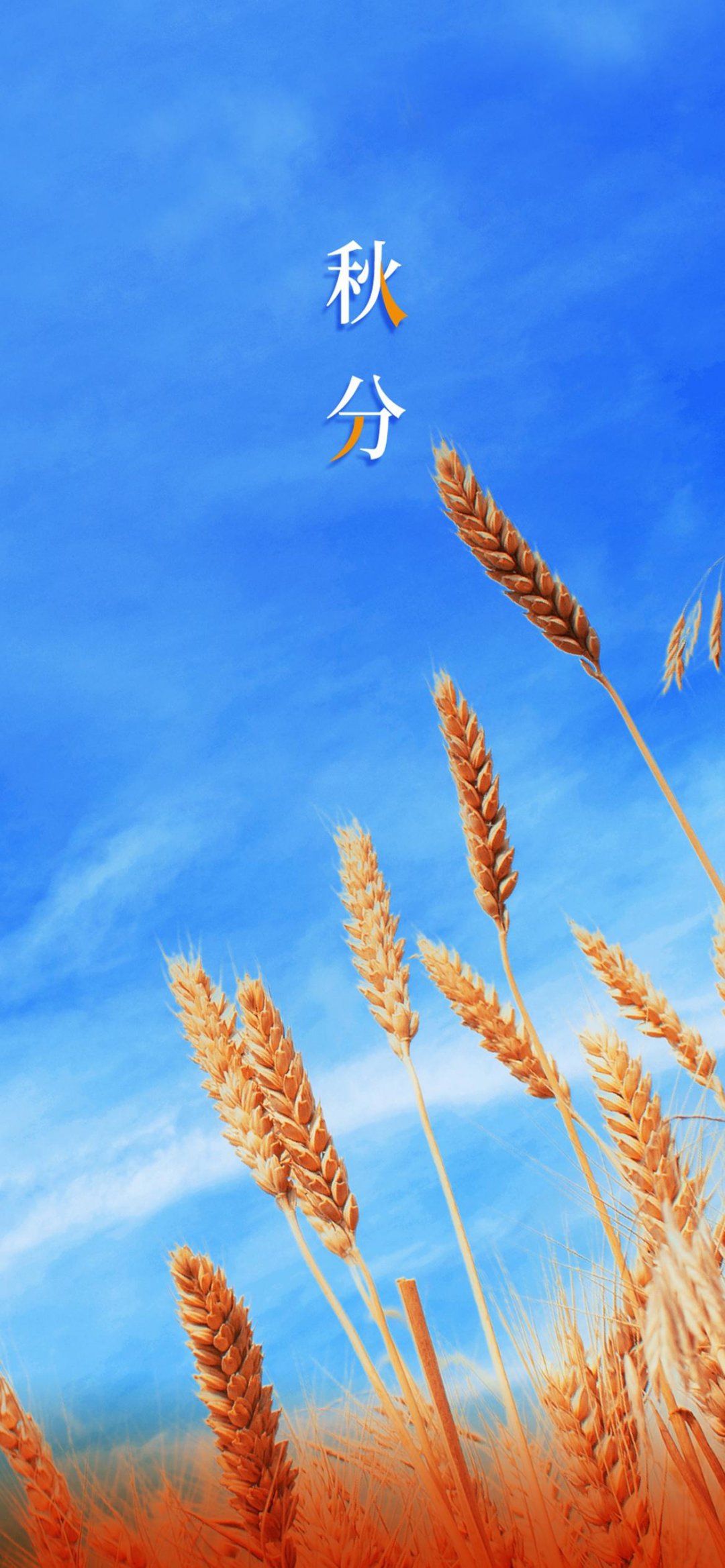 Nature Seasons Portrait Display Wheat Landscape Vertical Sky 1080x2337