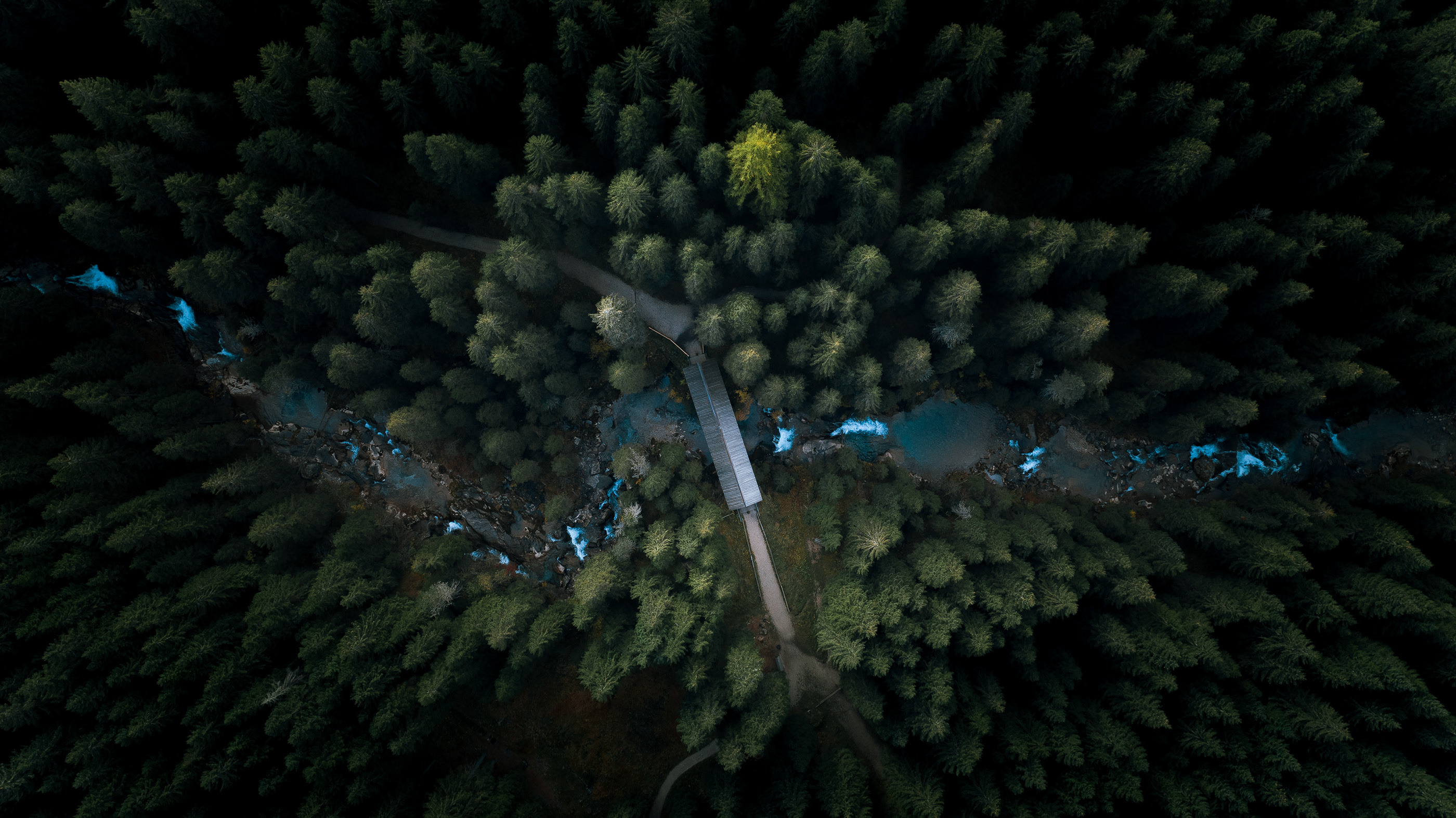 Photography Forest River Nature Trees Bridge Aerial View 2800x1573