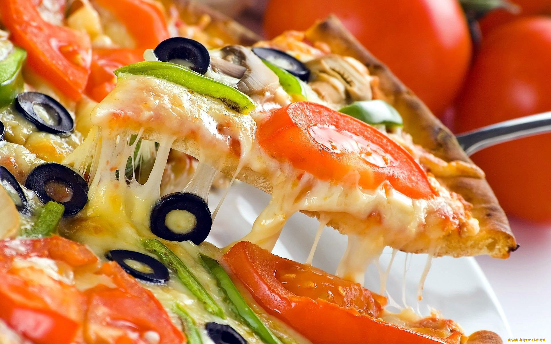 Closeup Food Pizza Cheese Tomatoes Olives Still Life 1920x1200