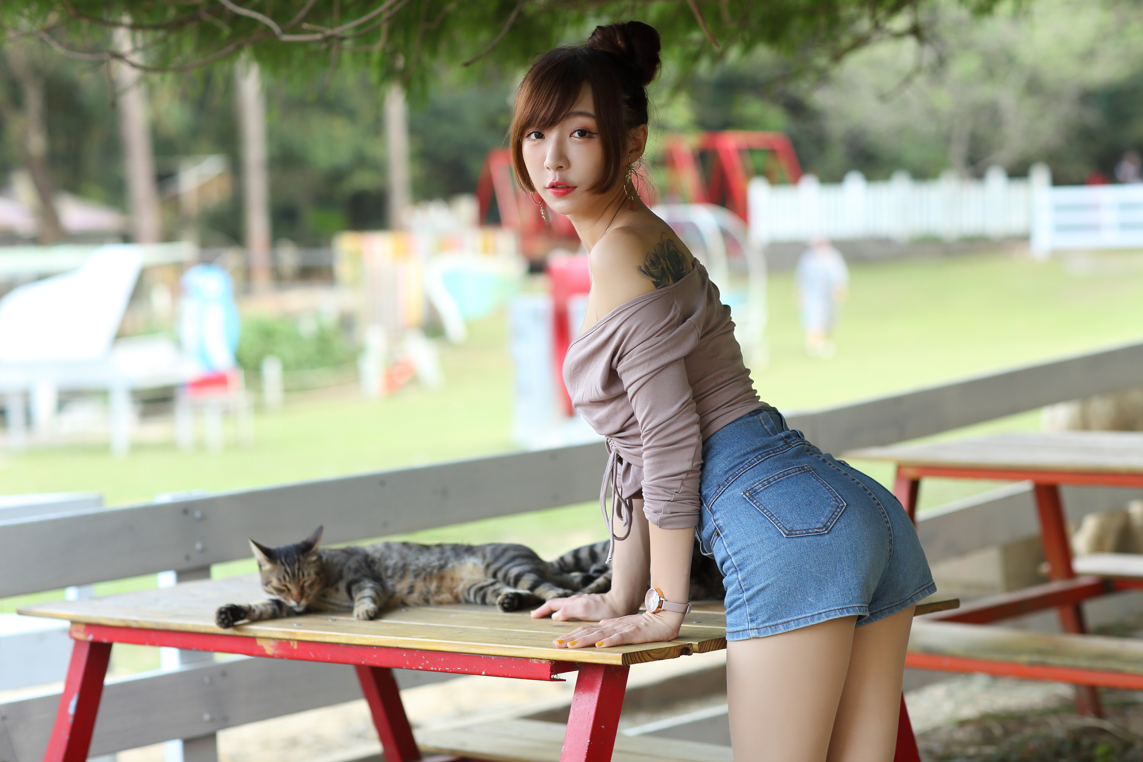 Asian Model Women Long Hair Dark Hair Table Bench Depth Of Field Cats Jean Shorts Wristwatch Tattoo  3840x2560
