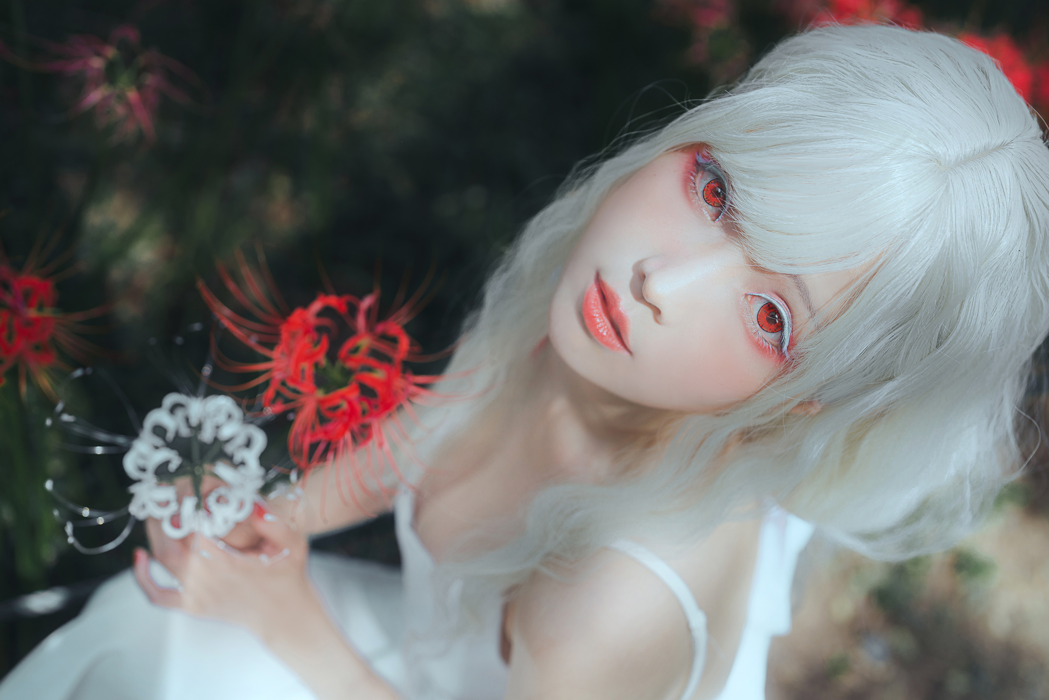 Ely Asian Red Eyes Higanbana Spider Lilies Looking At Viewer White Hair White Eyelashes 2048x1366