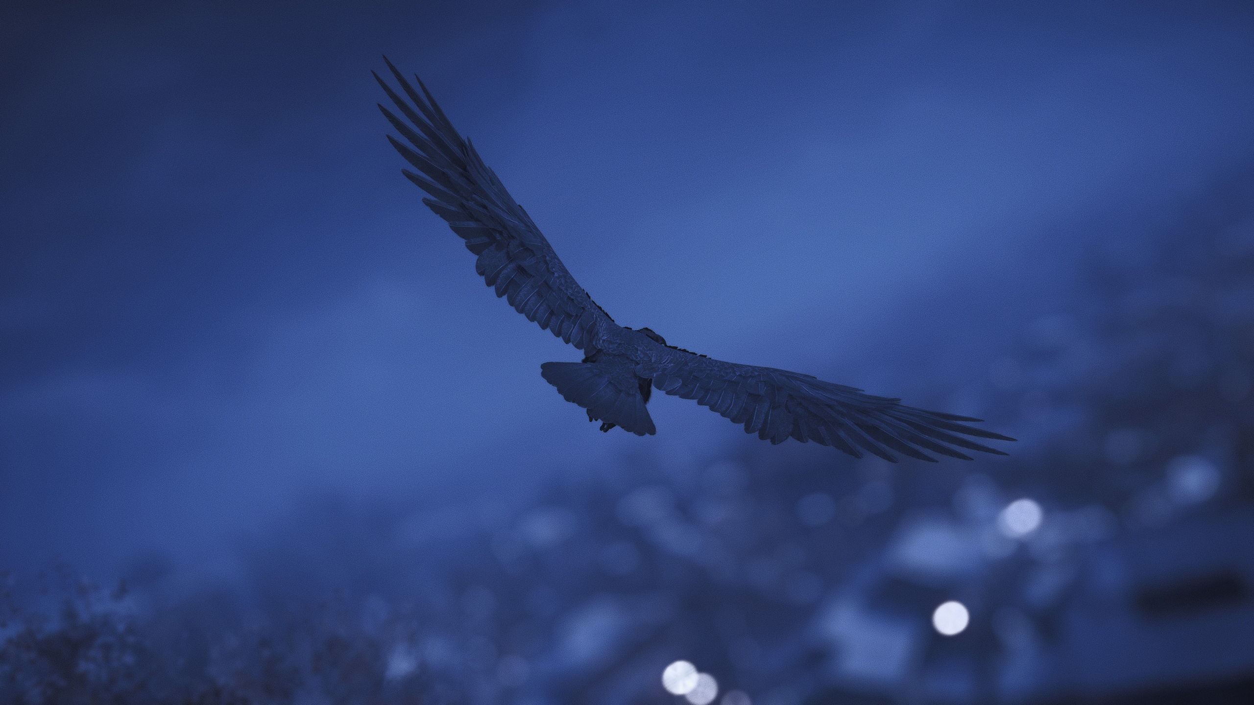 Assassins Creed Valhalla Reshade HDR Depth Of Field Video Games Birds CGi Animals Minimalism 2560x1440