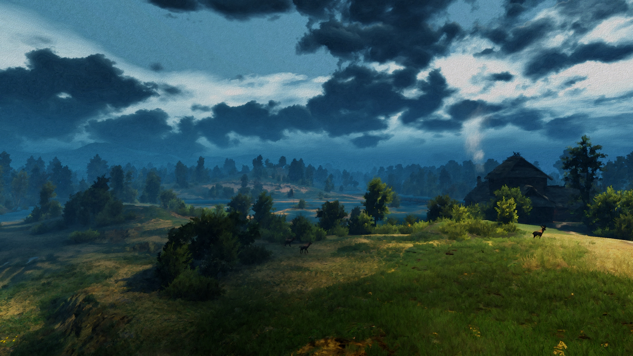The Witcher 3 Wild Hunt Video Games RPG PC Gaming Landscape 2560x1440