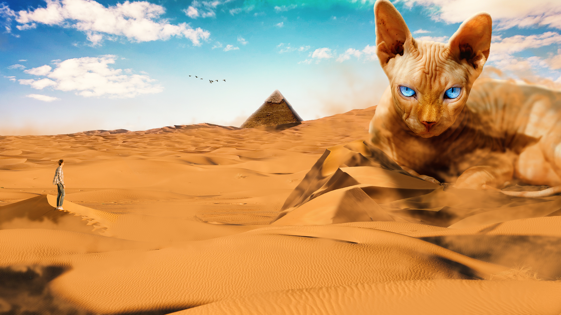 Cats Desert Sand Gods Egypt Photoshopped Yellow Dunes Animals Clouds Sky Pyramid 1920x1080