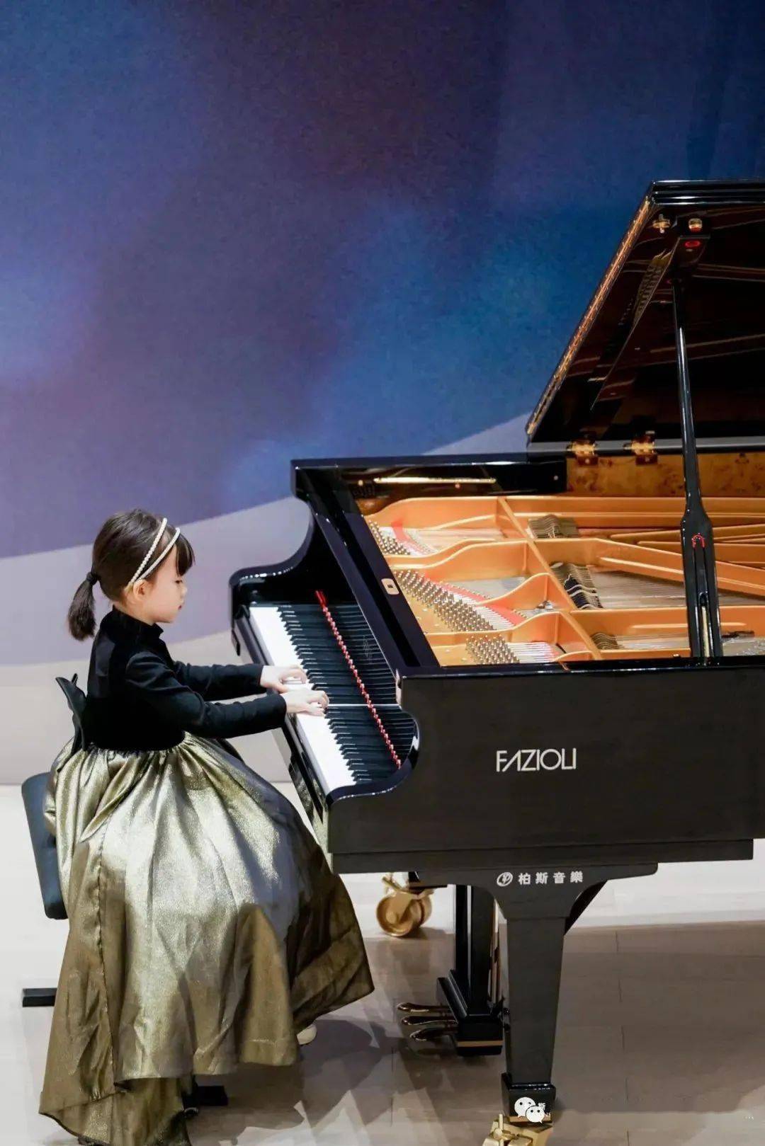 FAZiOLi Grand Piano Piano Asian Musical Instrument 1080x1619