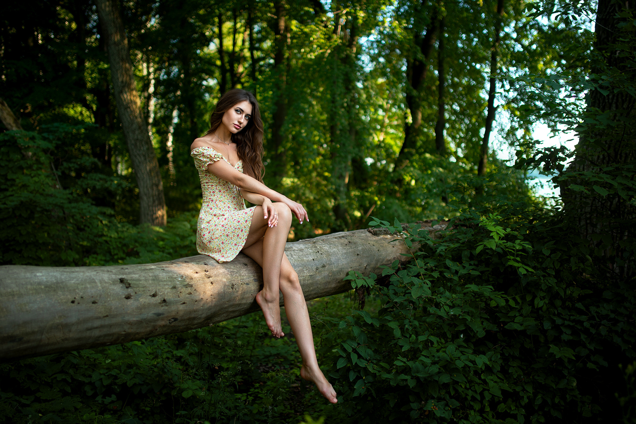 Dmitry Shulgin Women Brunette Long Hair Dress Legs Barefoot Nature Forest Model Log Tree Trunk Women 2048x1365