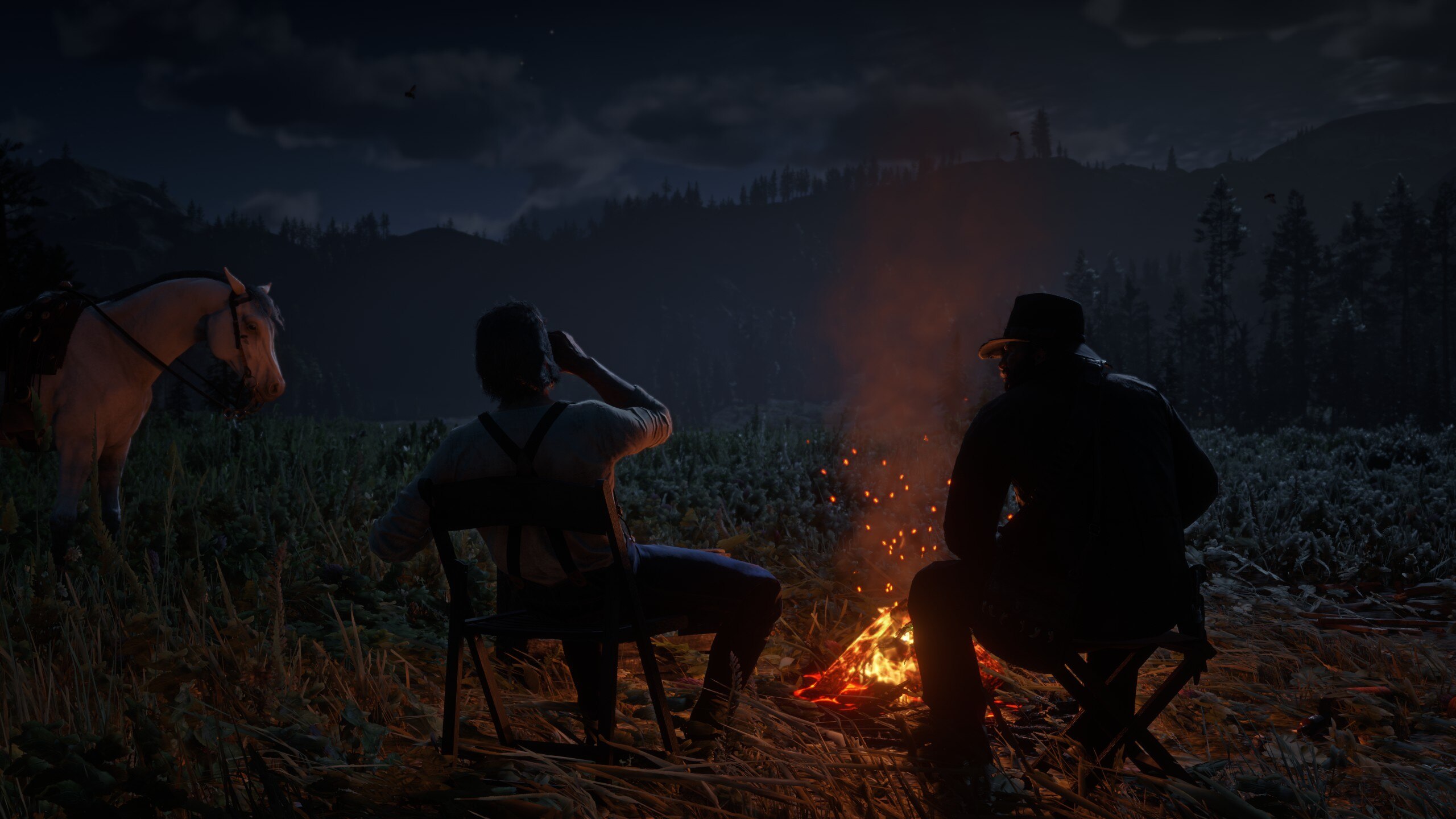 Red Dead Redemption 2 Red Dead Redemption Video Games Western Cowboy Campfire Night CGi Video Game C 2560x1440