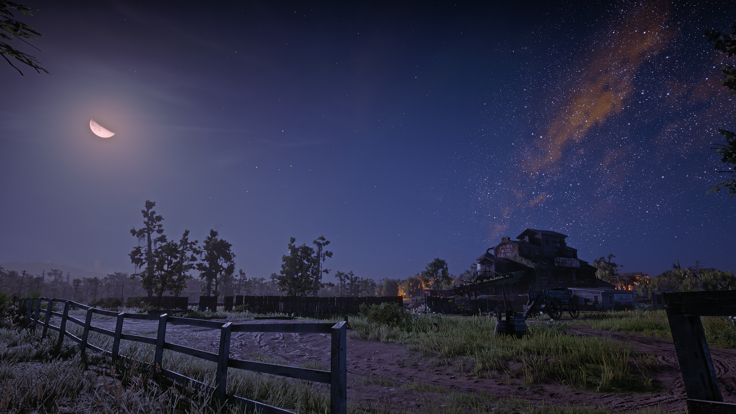 Red Dead Redemption 2 Rockstar Games Video Games Nature Landscape Night Sky Stars CGi Moon Sky 2560x1440