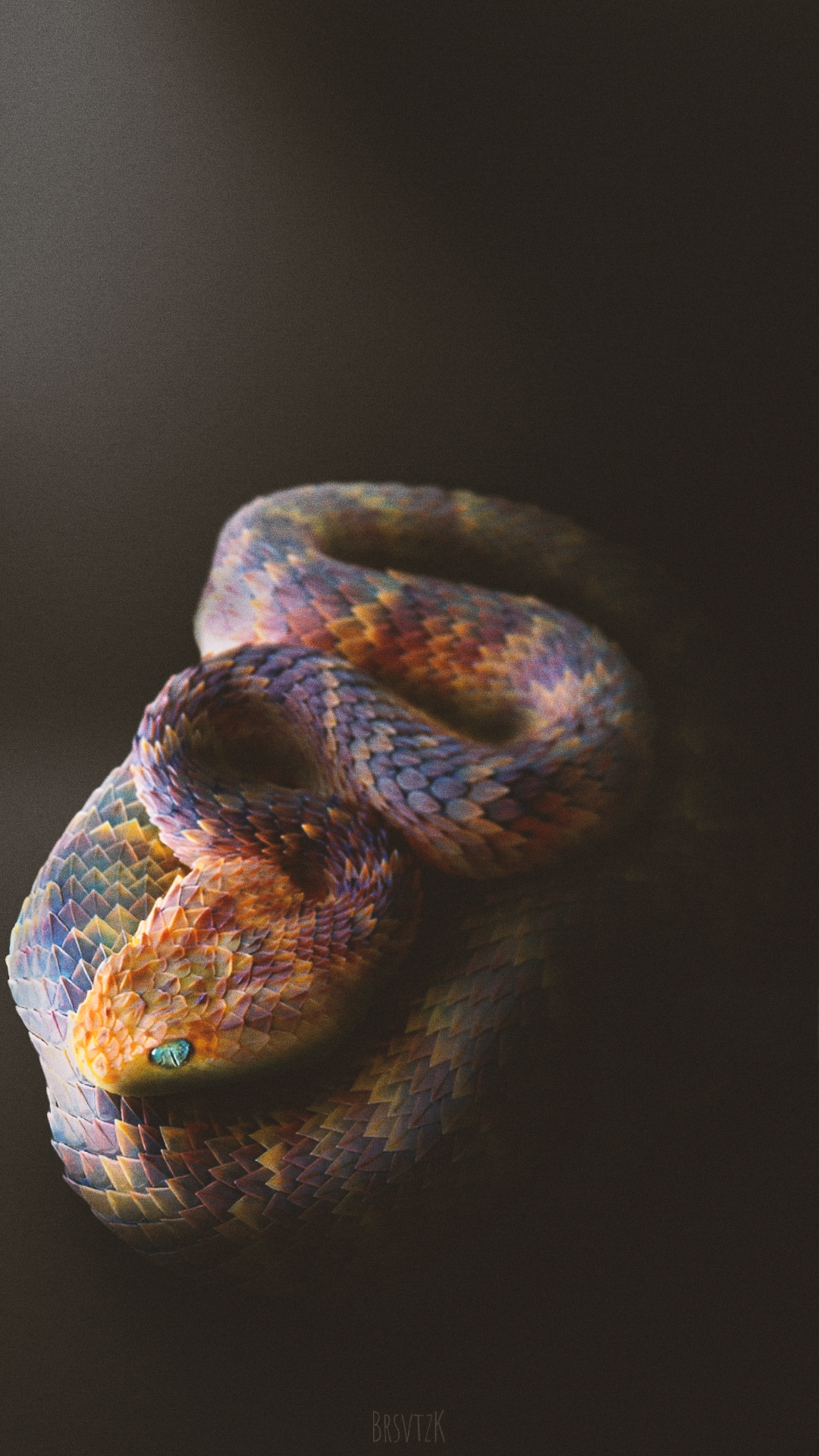 Snake Nature Reptile Vertical Vipers Animals Minimalism Simple Background 1080x1920