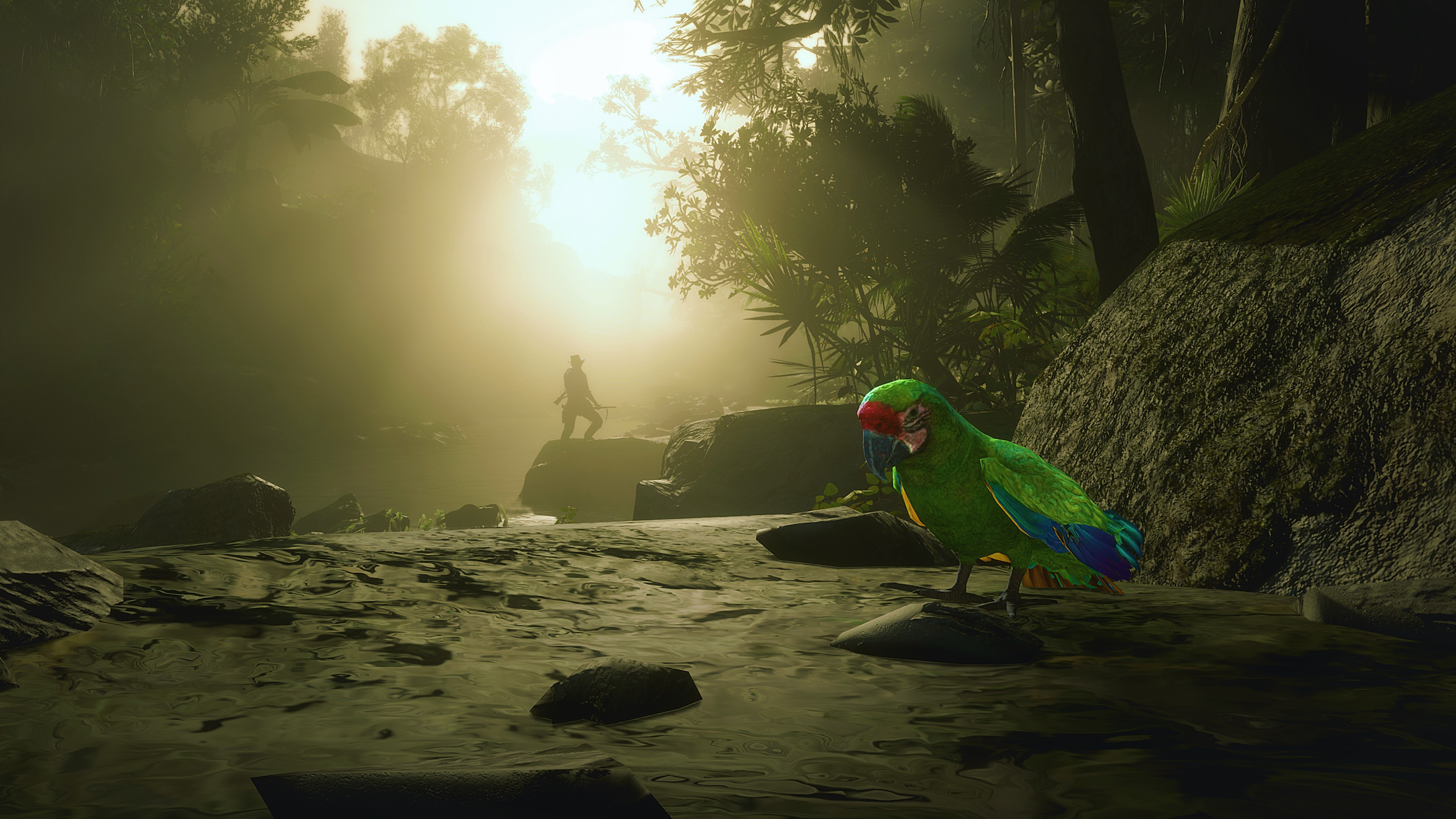 Red Dead Redemption 2 Parrot Light Novel Landscape Animals Video Games Birds CGi Water 3840x2160