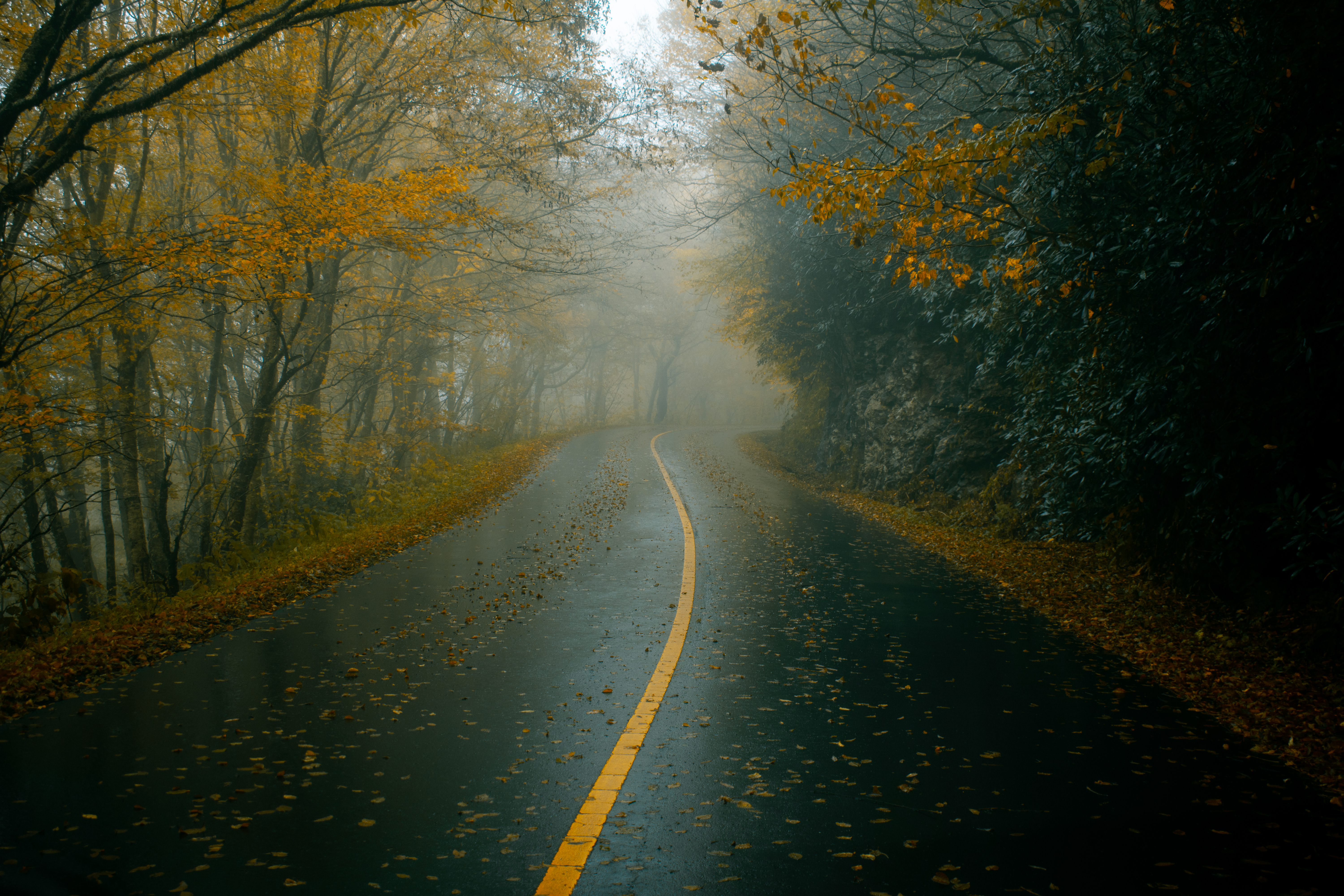 Fall Nature Road Dark Mist Foliage Trees Leaves Andrew Perales 6000x4000