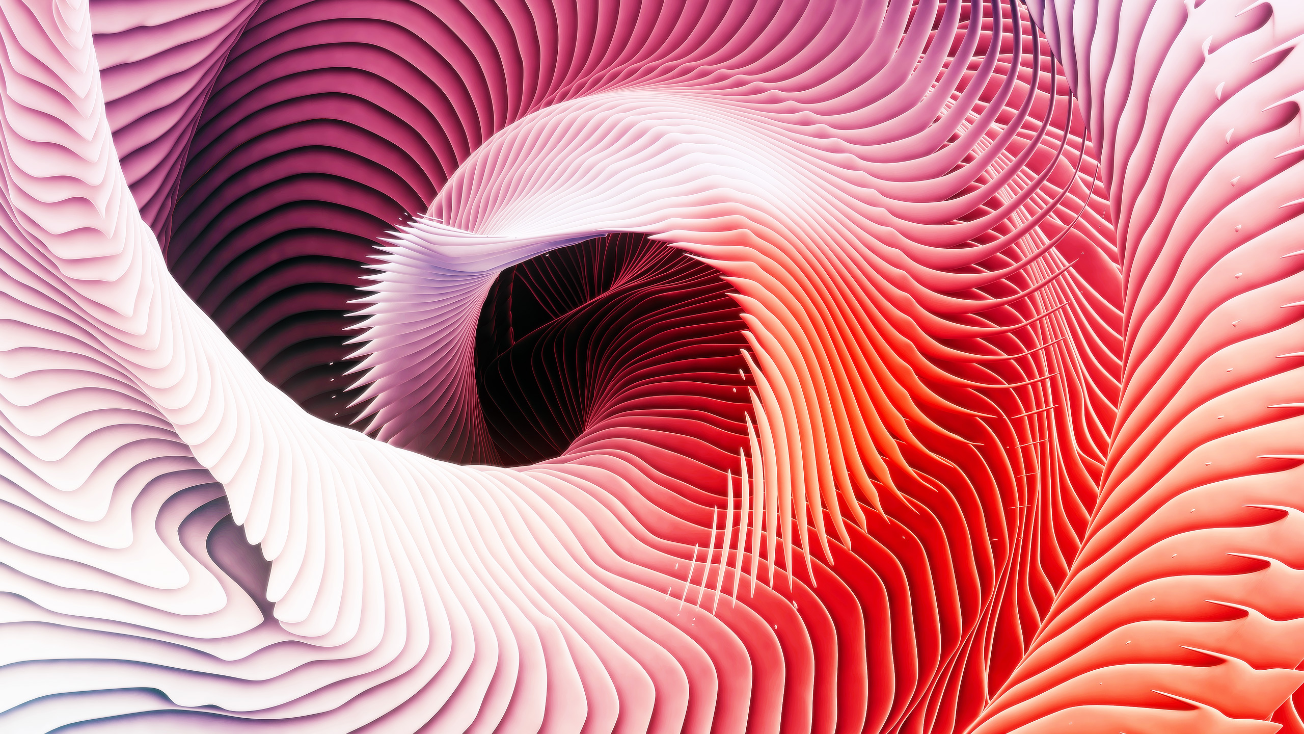Ari Weinkle Abstract Spiral Colorful 2560x1440