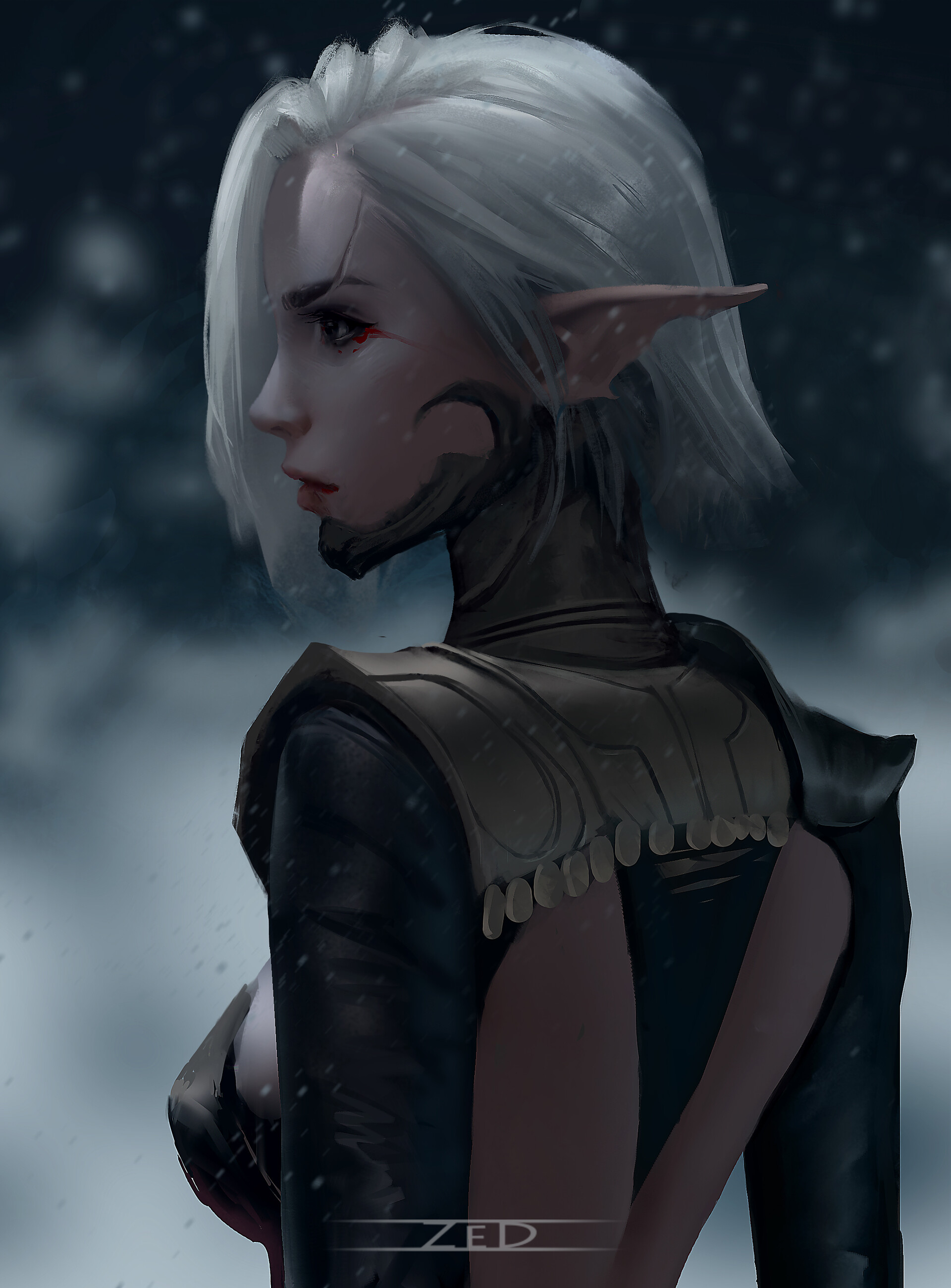 Trungbui Drawing Women Silver Hair Elves Face Paint Black Clothing Looking Away Profile Snow Snowing 1920x2600
