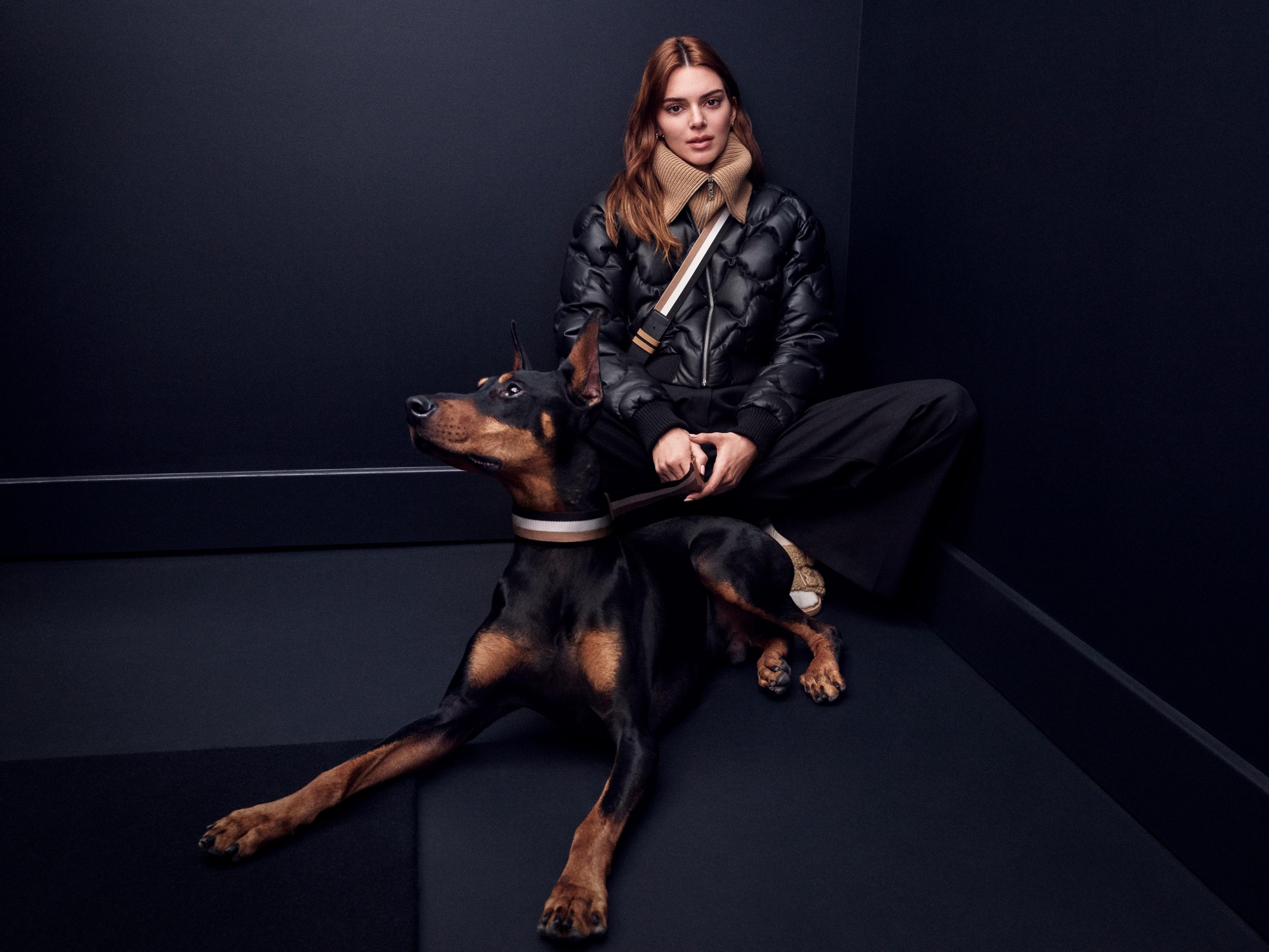 Kendall Jenner Women Model Brunette Long Hair Fashion Women Indoors Dog Women With Dogs 2000x1501