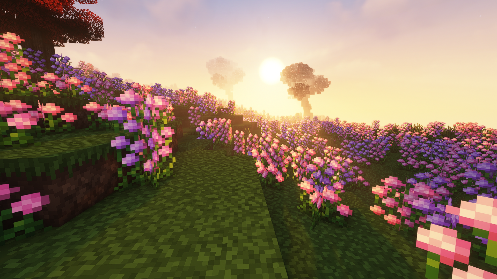 Minecraft Sunset Landscape Shaders CGi Video Games Flowers Sunset Glow 1920x1080