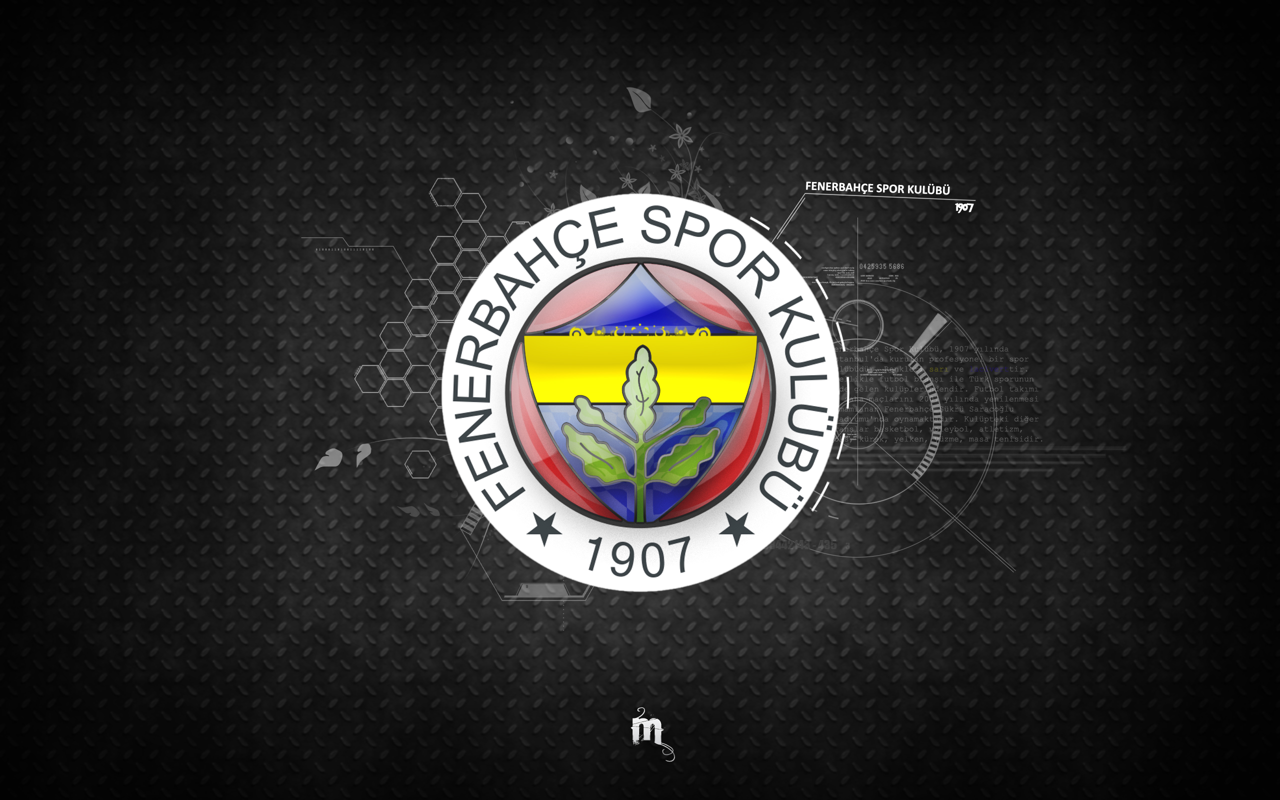 Sports Fenerbahce S K 2560x1600