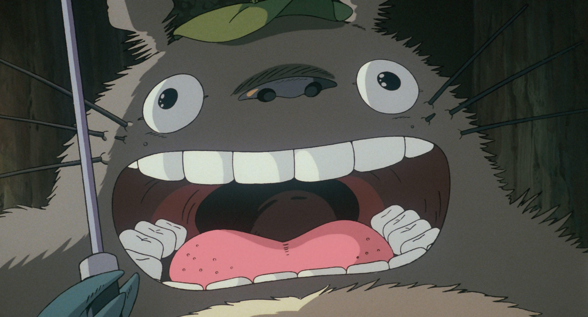 Studio Ghibli Anime Cartoon My Neighbor Totoro Anime Screenshot Creature 1920x1038