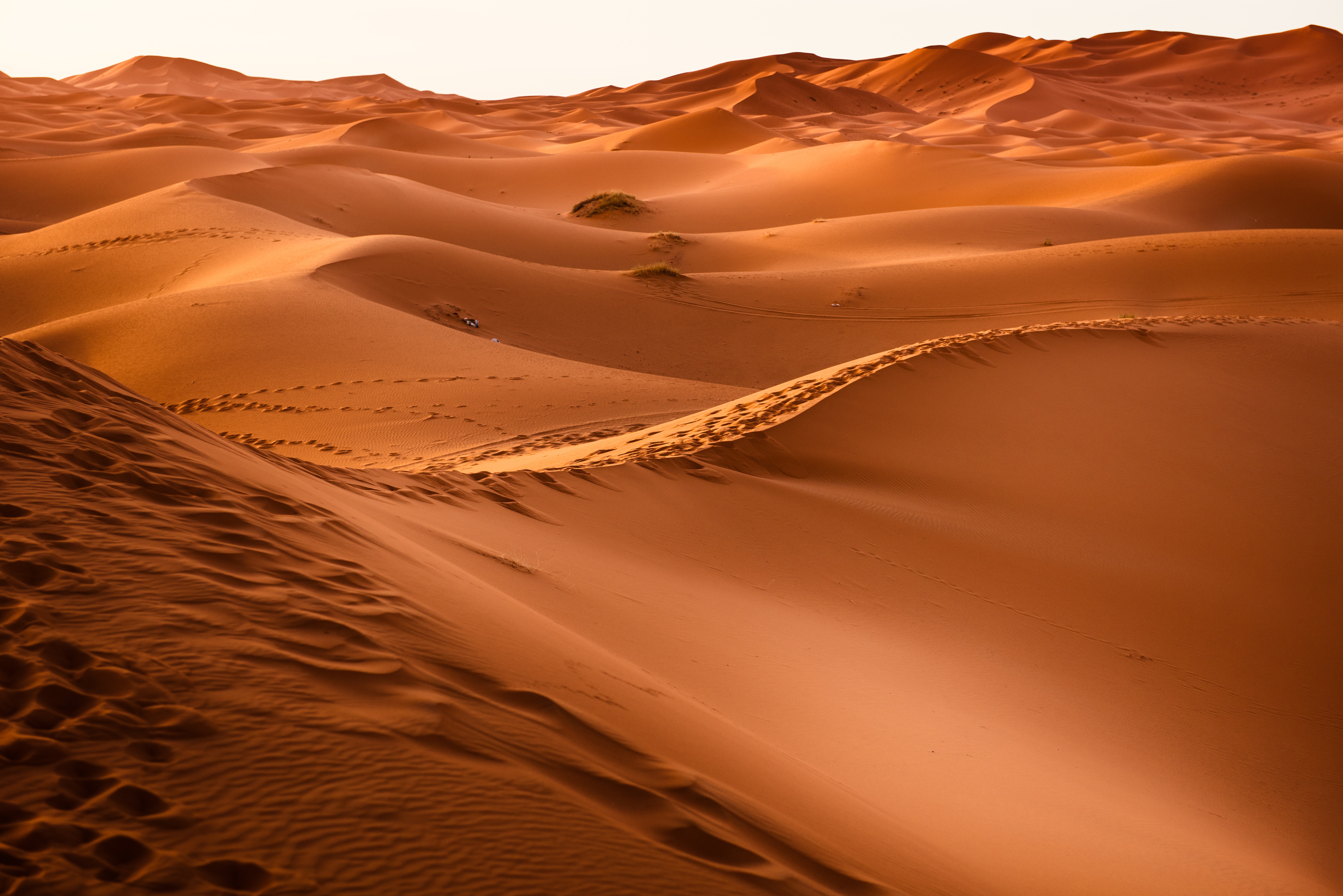 Morocco Desert Sand Dunes Nature 7360x4912