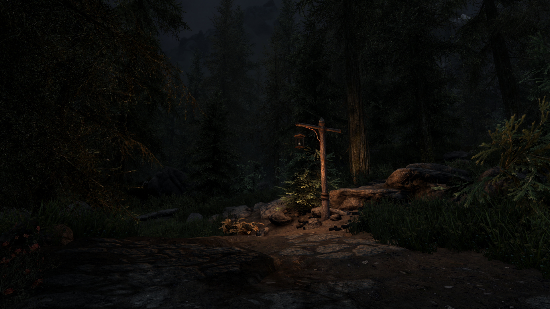 The Elder Scrolls V Skyrim Forest Night Lantern Trees Dark Glowing Video Games Rocks Video Game Art  1920x1080