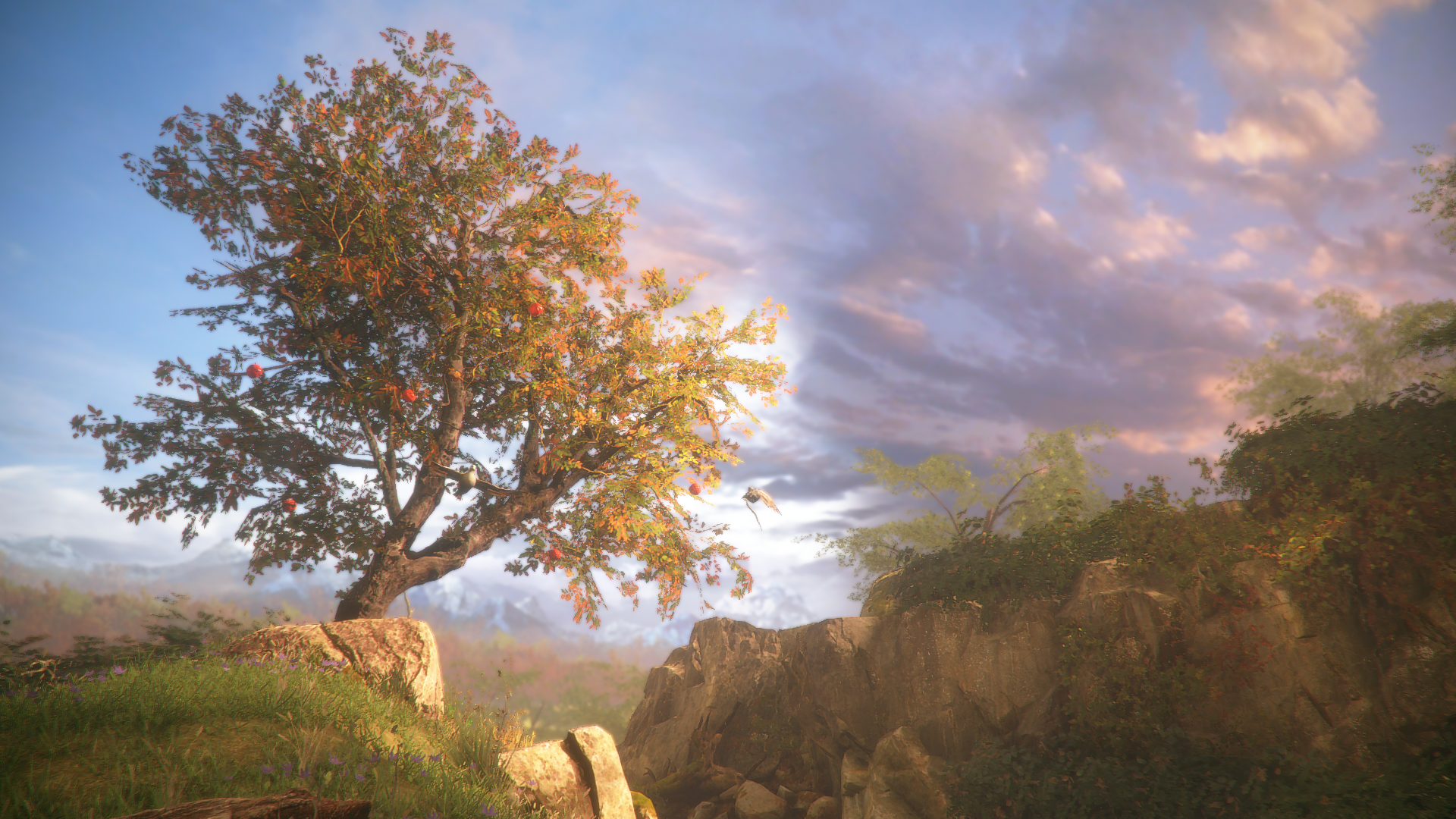 A Plague Tale Innocence Sky Sunset Trees Clouds Video Games 1920x1080