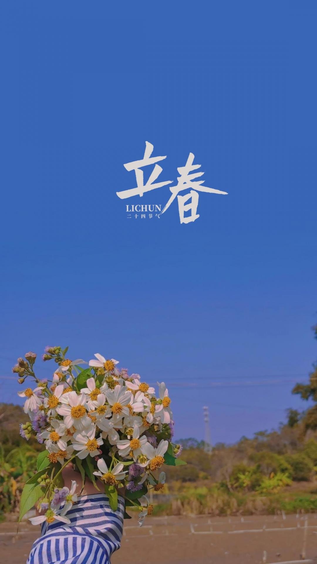 Nature Seasons Vertical Sky Flowers 1080x1920