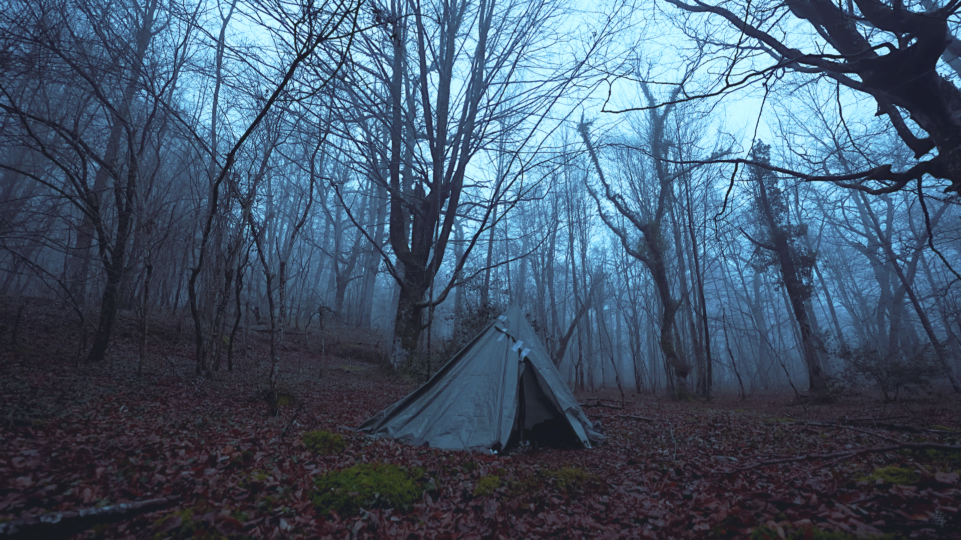 Forest Dark Camping Tree House Forest Clearing Landscape Nature Grey Clothing Mist Cold Coldesign Da 1920x1080