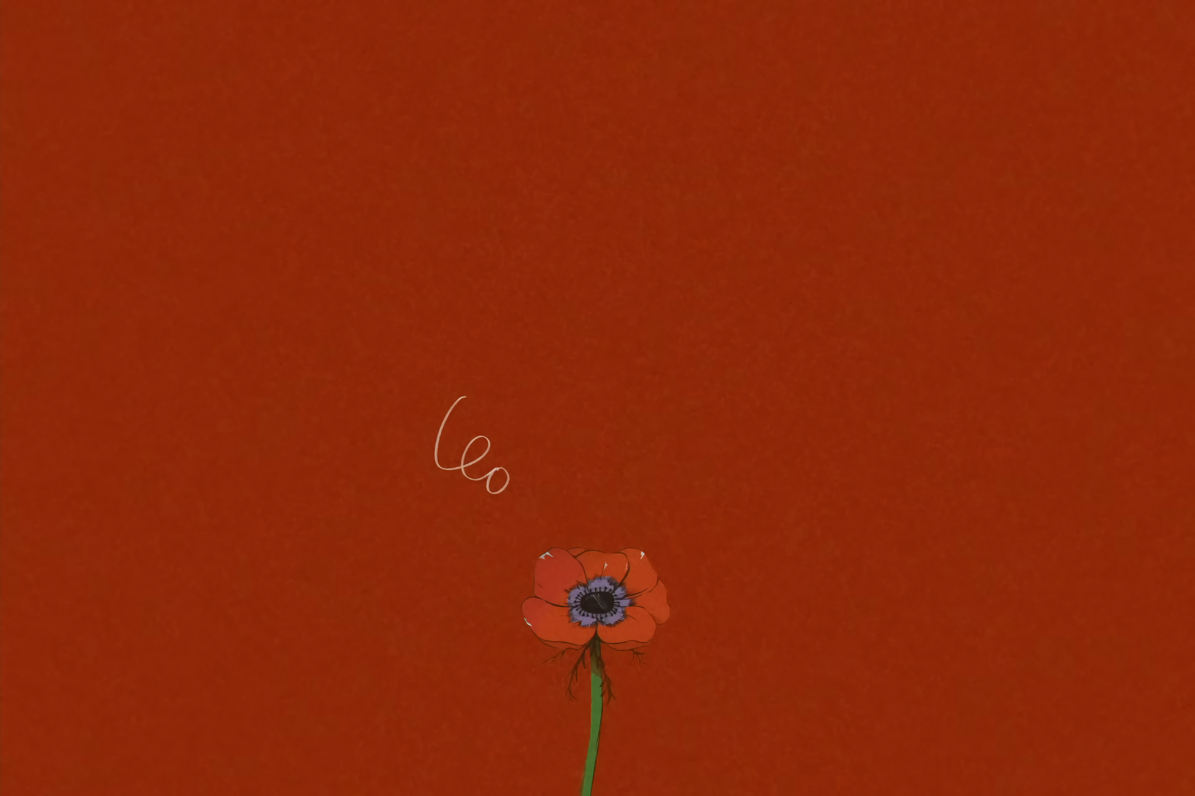 Simple Background Red Minimalism Flowers Red Background 3840x2560