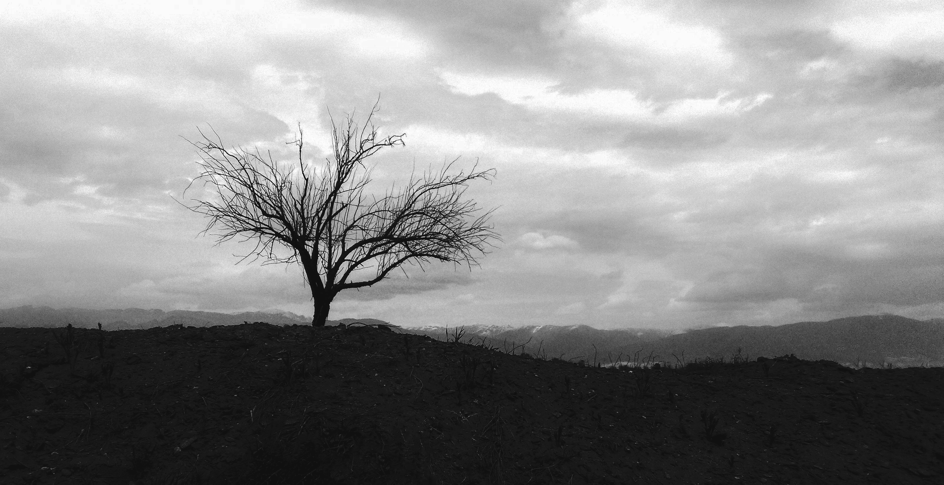Monochrome Trees Landscape Nature Clouds Sky 3208x1651