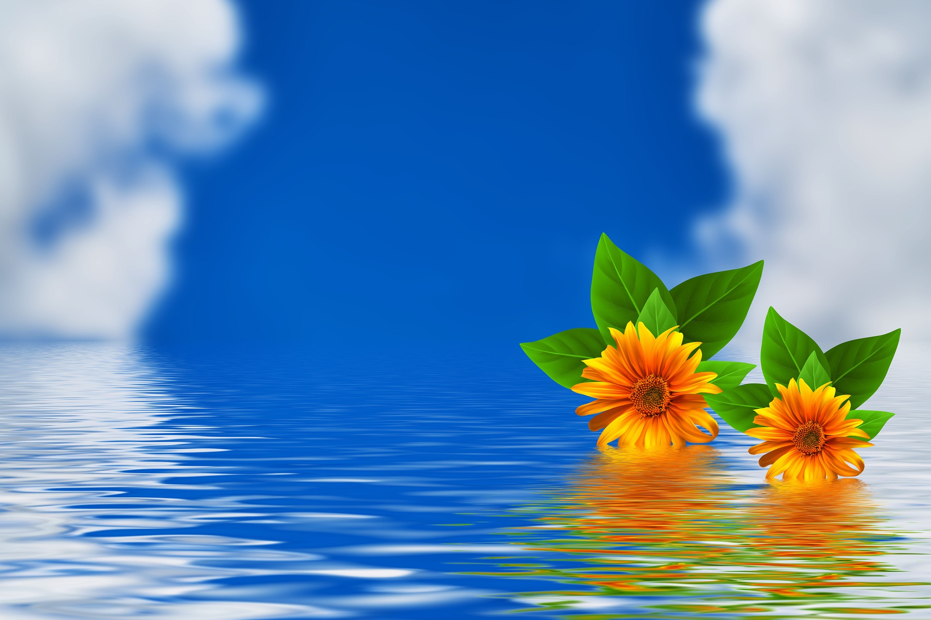 Flowers Water Clouds Simple Background Reflection 1920x1280