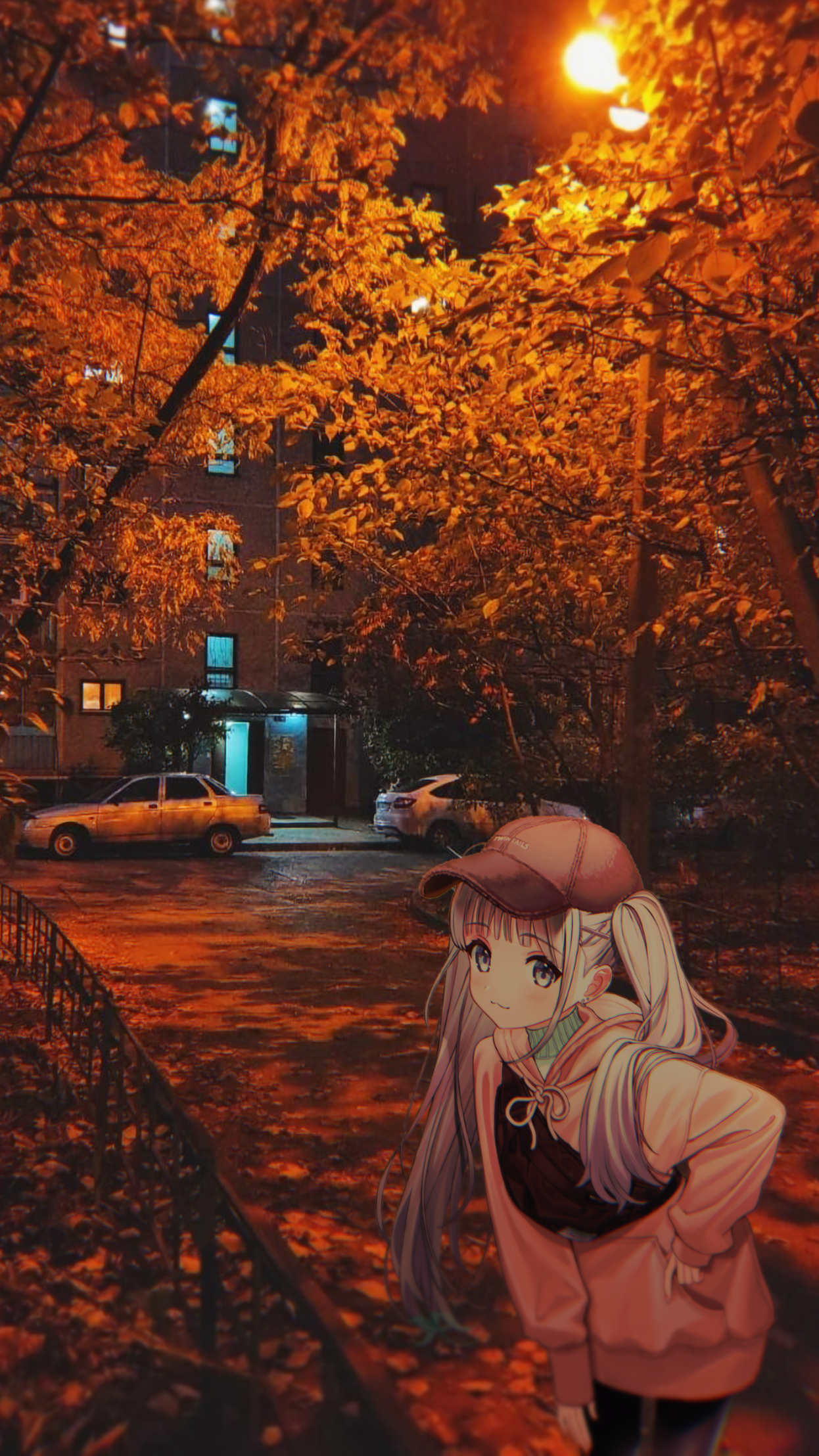 Animeirl Neighborhood Anime Girls Portrait Display Long Hair Fall Hat Vehicle Jacket Trees Looking A 1246x2216