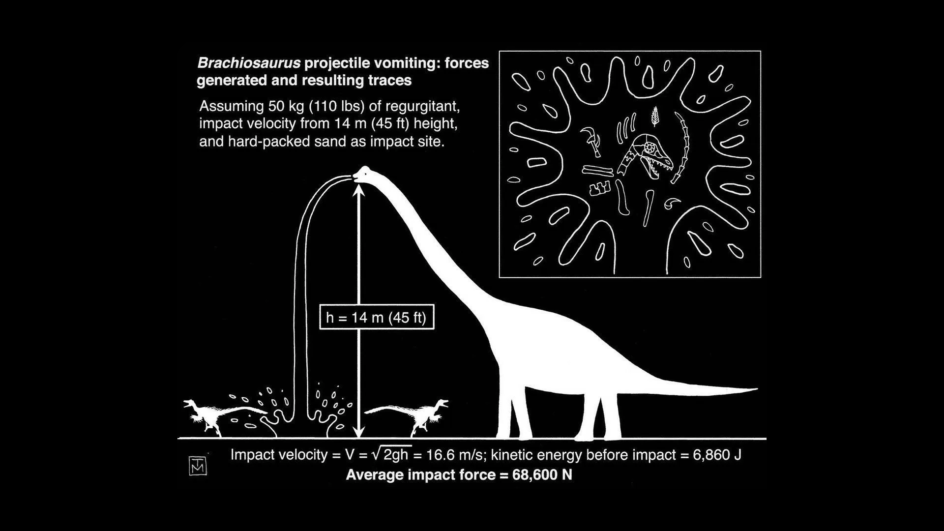 Dinosaurs Science Diagrams Biology Illustration Monochrome Humor Brachiosaurus Black Background 1920x1080