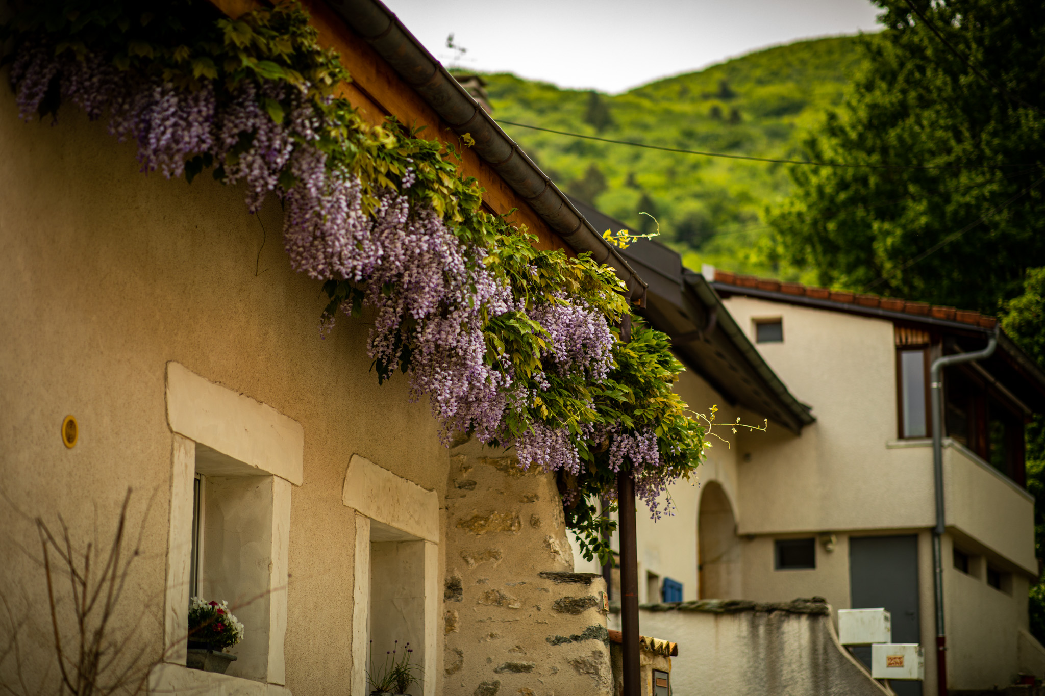Photography Outdoors Trees Flowers Building Village Architecture 2048x1365