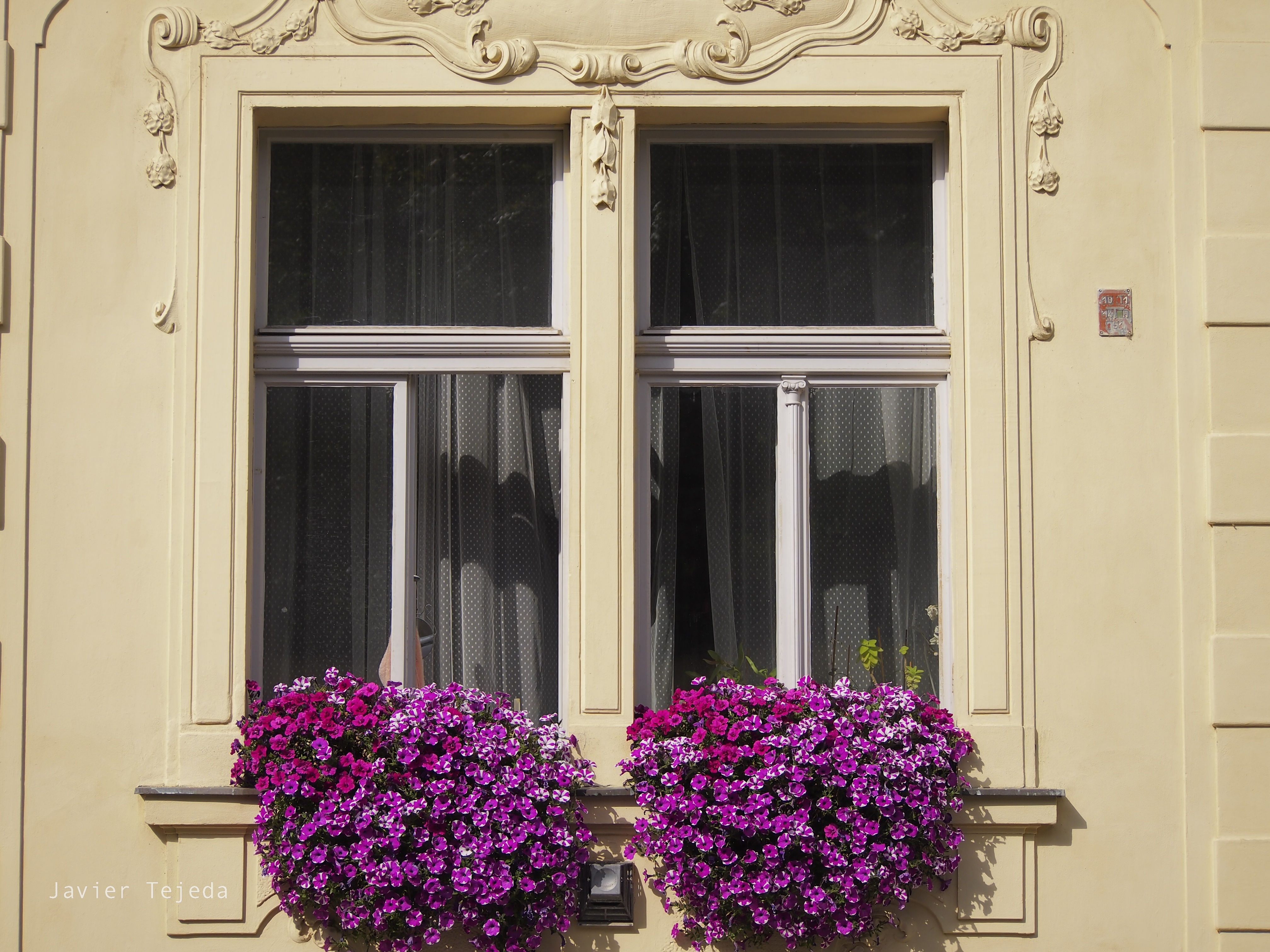 Czech Building Flowers Window 4032x3024
