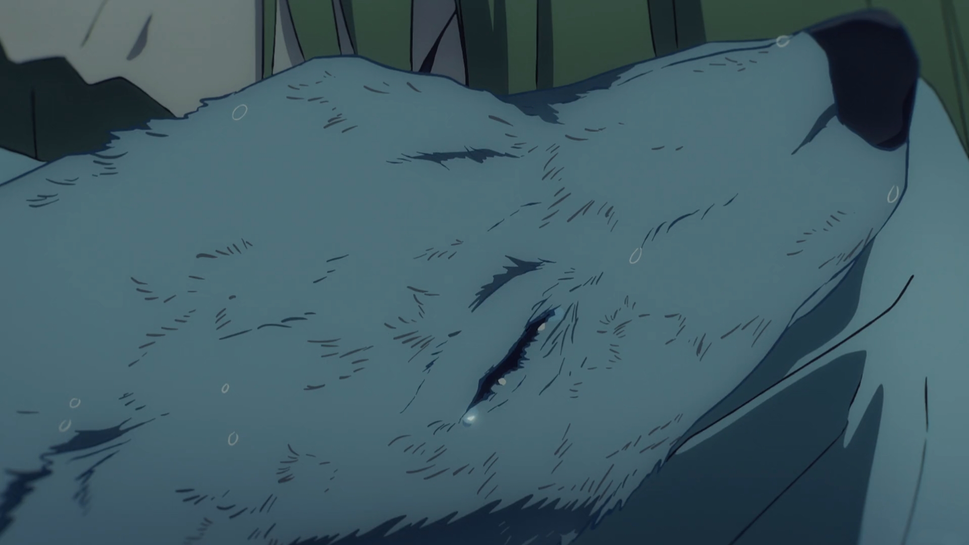 Fate Series Fate Strange Fake Enkidu FGO Wolf Anime Anime Screenshot Gender Fluid Tears Closed Eyes  1920x1080