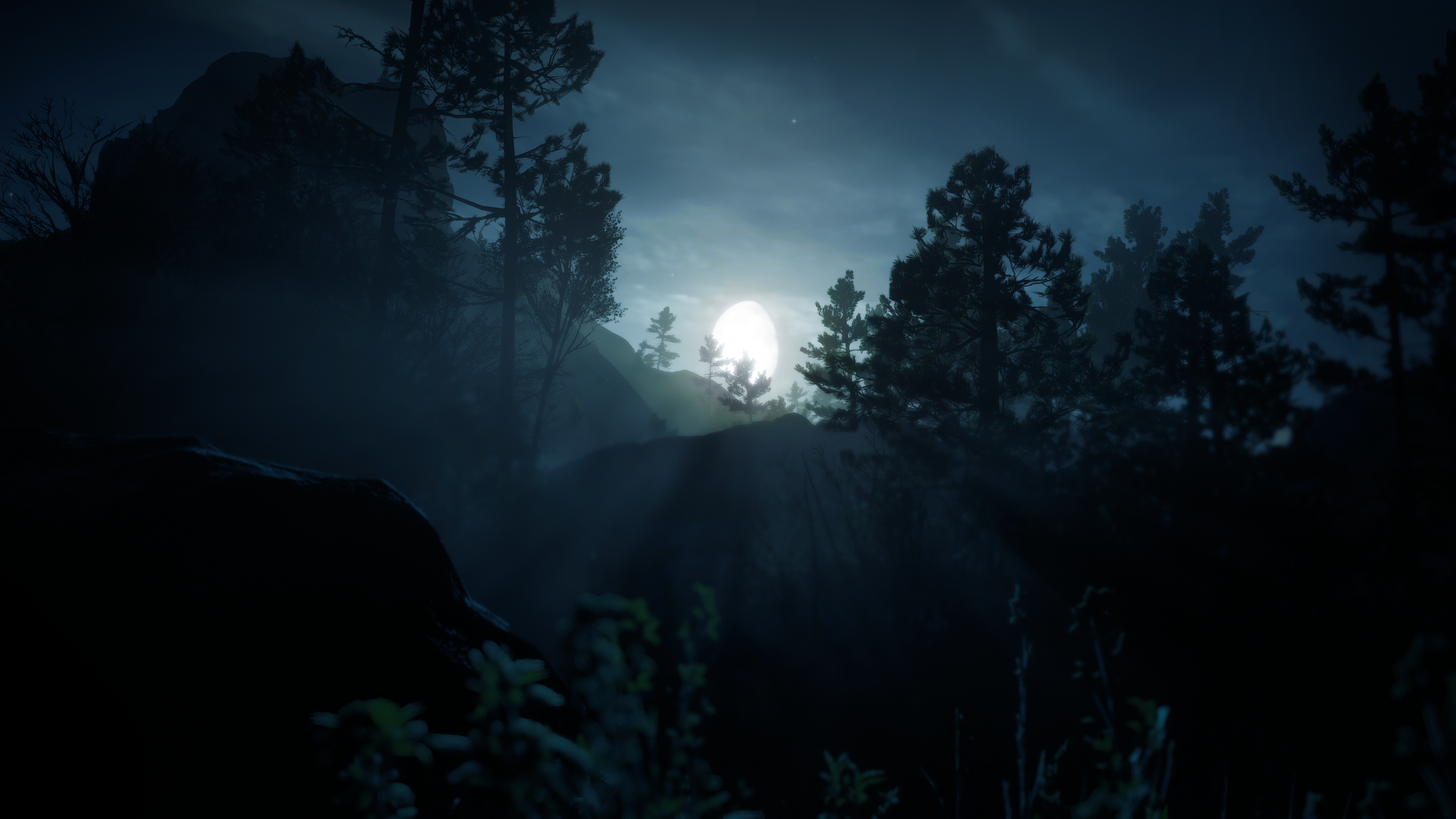 Moon Rays Nature Red Dead Redemption 2 Mist Video Game Art Video Games Night Moon Moonlight Sky Clou 2560x1440