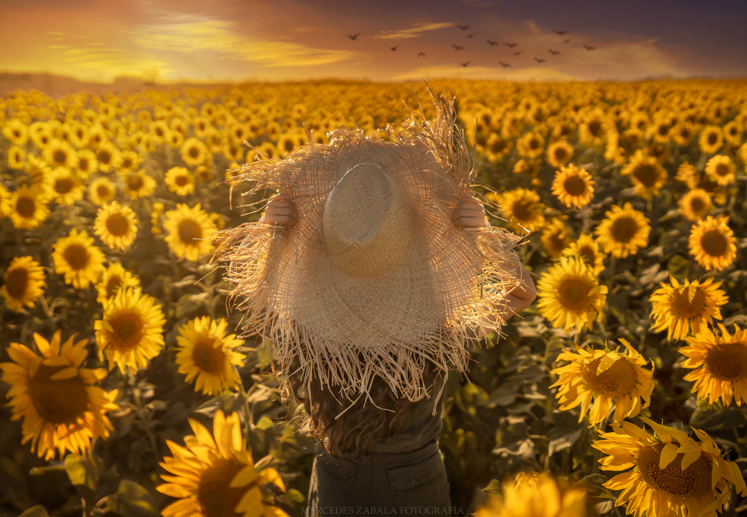 Women Sunflower Hat 3000x2078