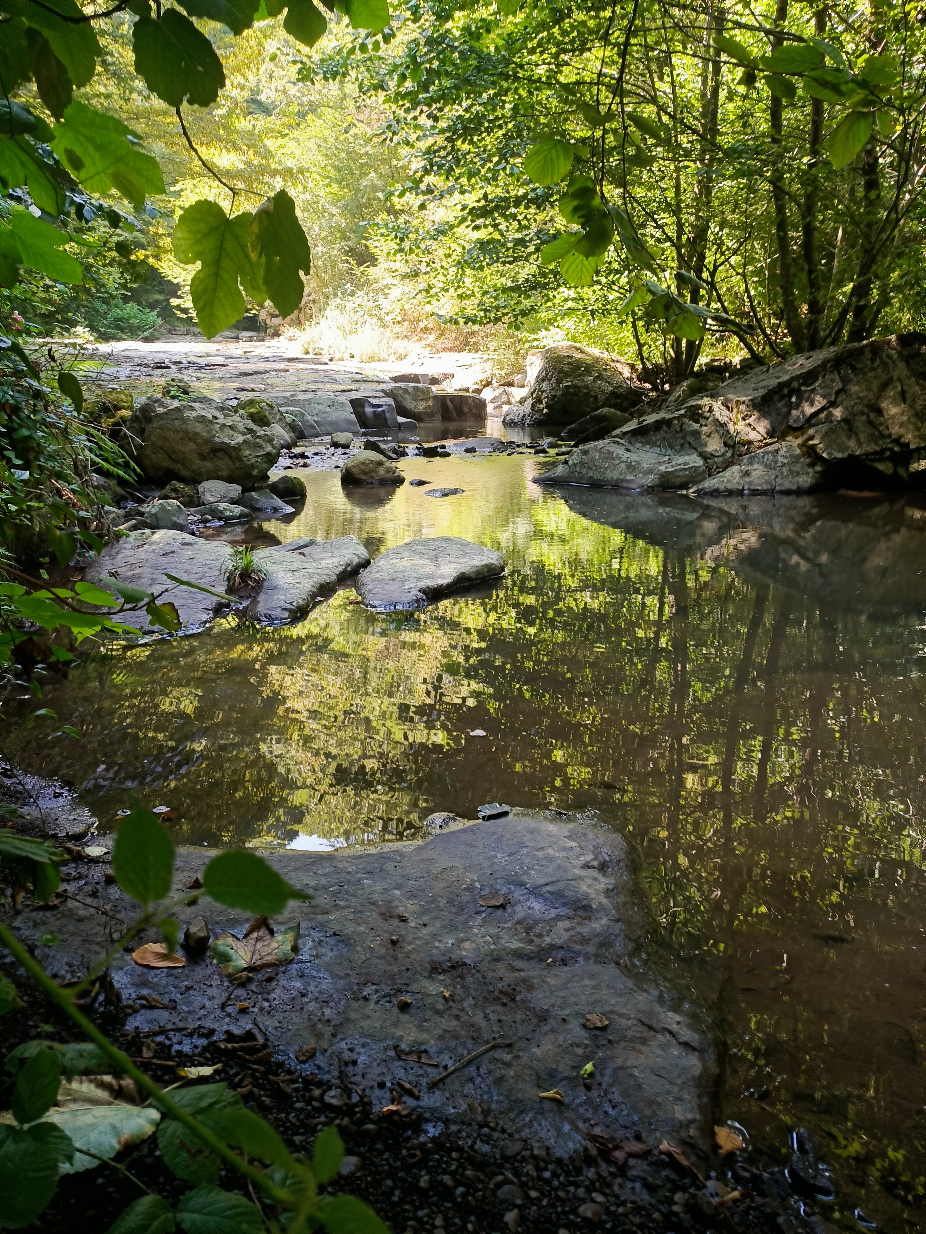 Nature Turkey Leaves Creeks Water Reflection Portrait Display Sunlight Rocks Trees 3000x4000