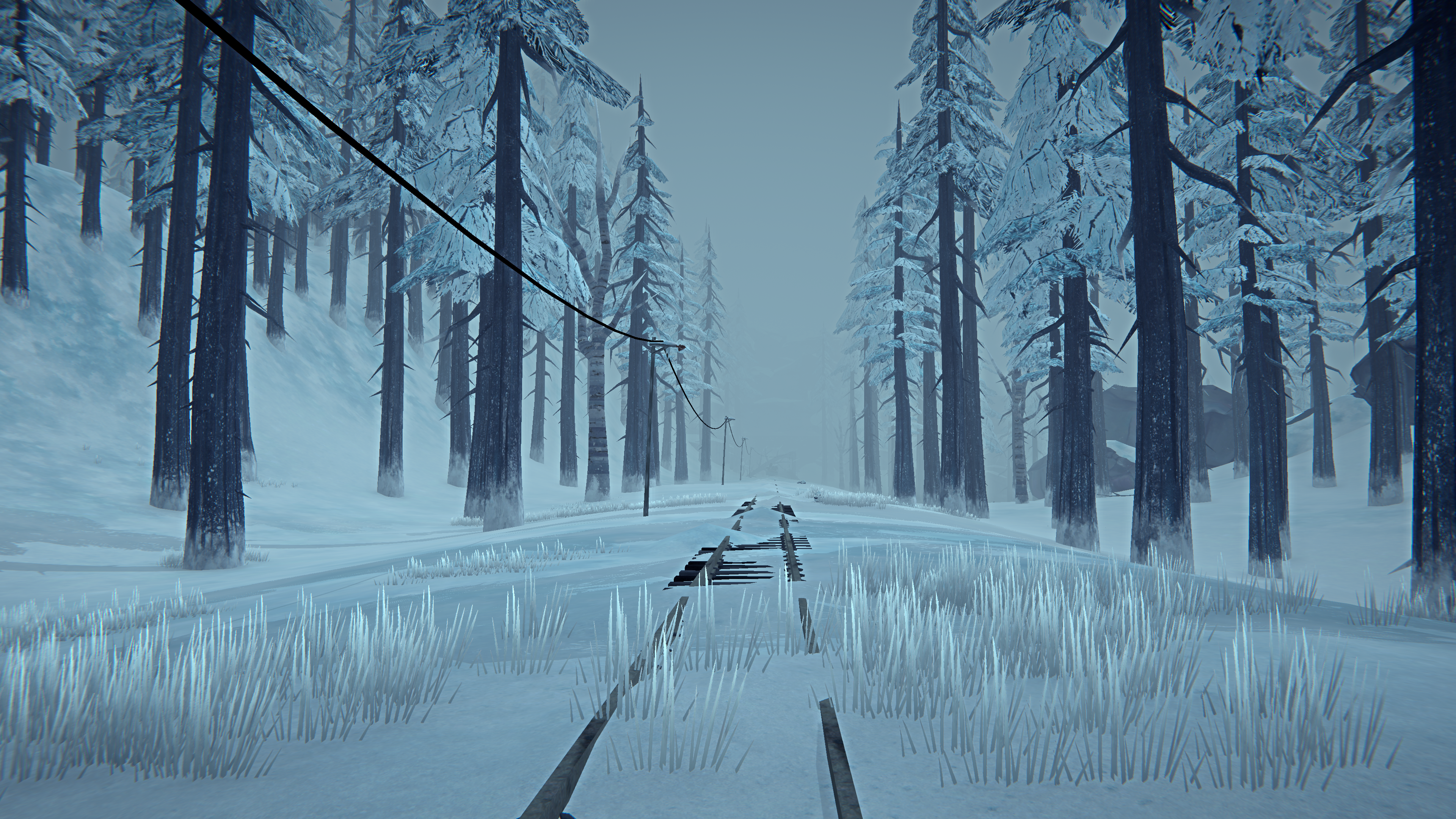 The Long Dark Screen Shot Snow Survival Video Game Landscape PC Gaming Forest Winter Nature Trees Mi 3840x2160