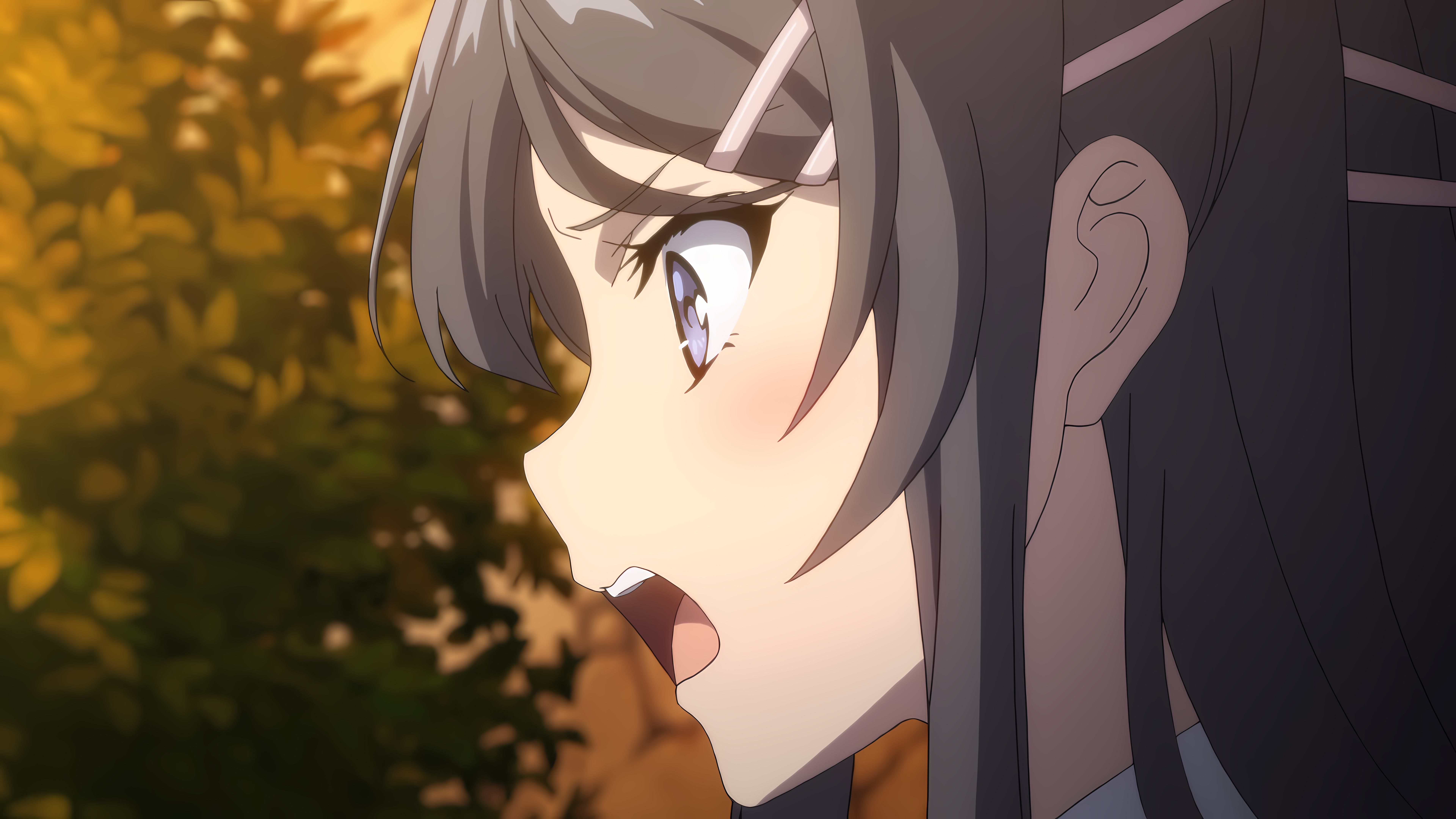Sakurajima Mai Seishun Buta Yar Wa Bunny Girl Senpai No Yume Wo Minai Anime Anime Girls Anime Screen 7680x4320
