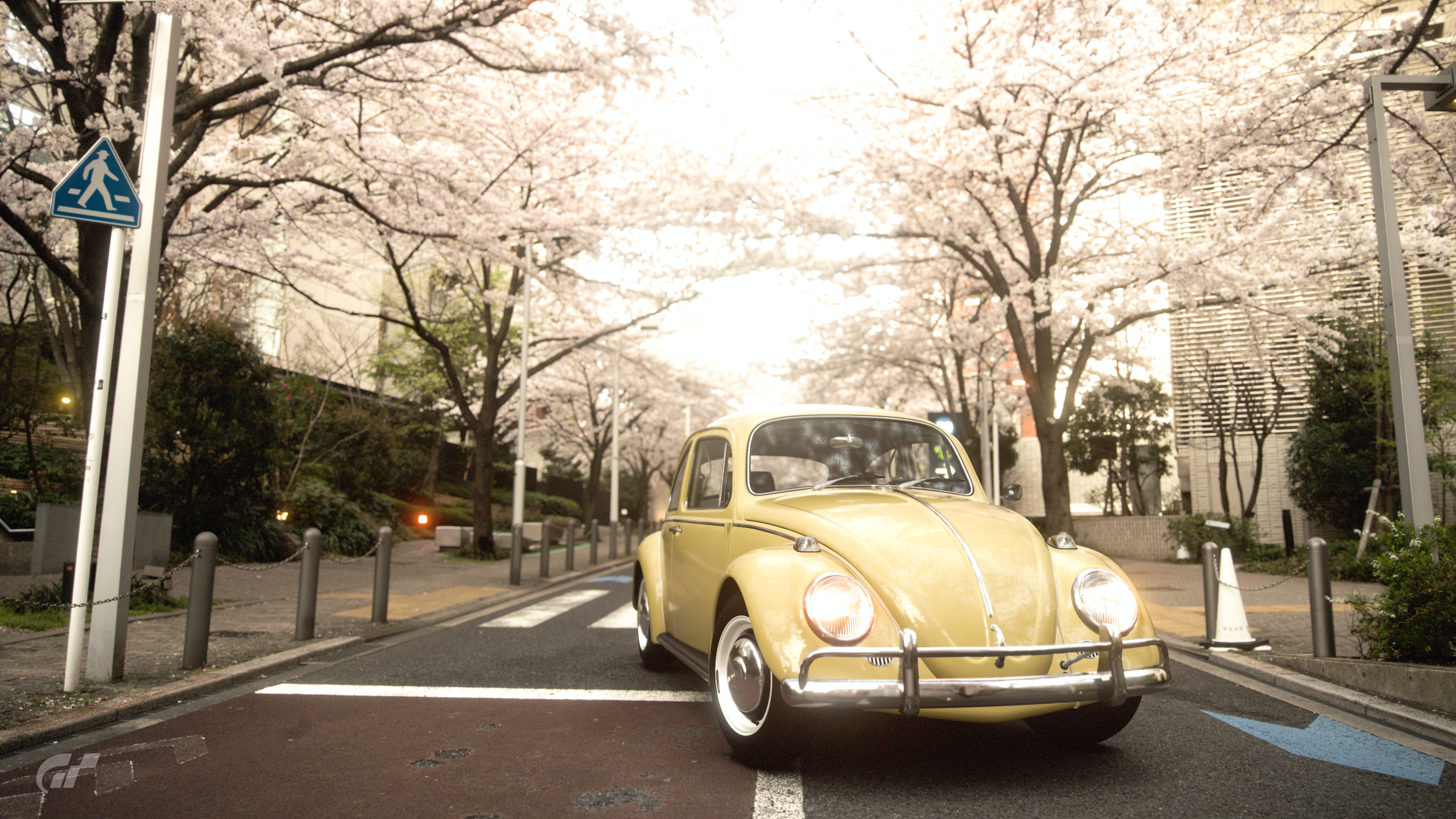 Nature Car Vehicle Video Games Gran Turismo 7 Volkswagen Beetle Cherry Blossom Japan Street Front An 3840x2160