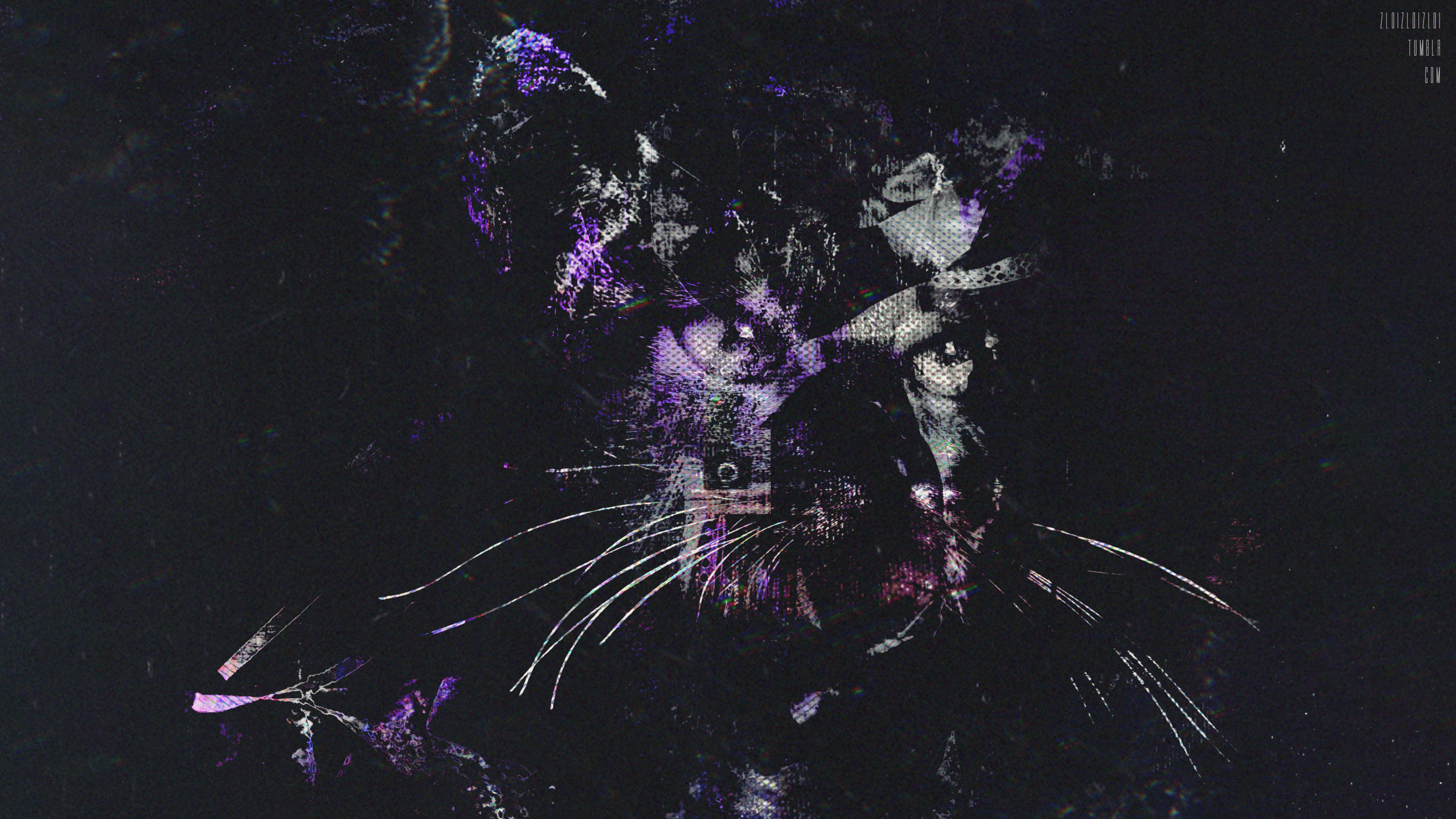 Glitch Art Abstract Graphic Design Animals Cats 3840x2160