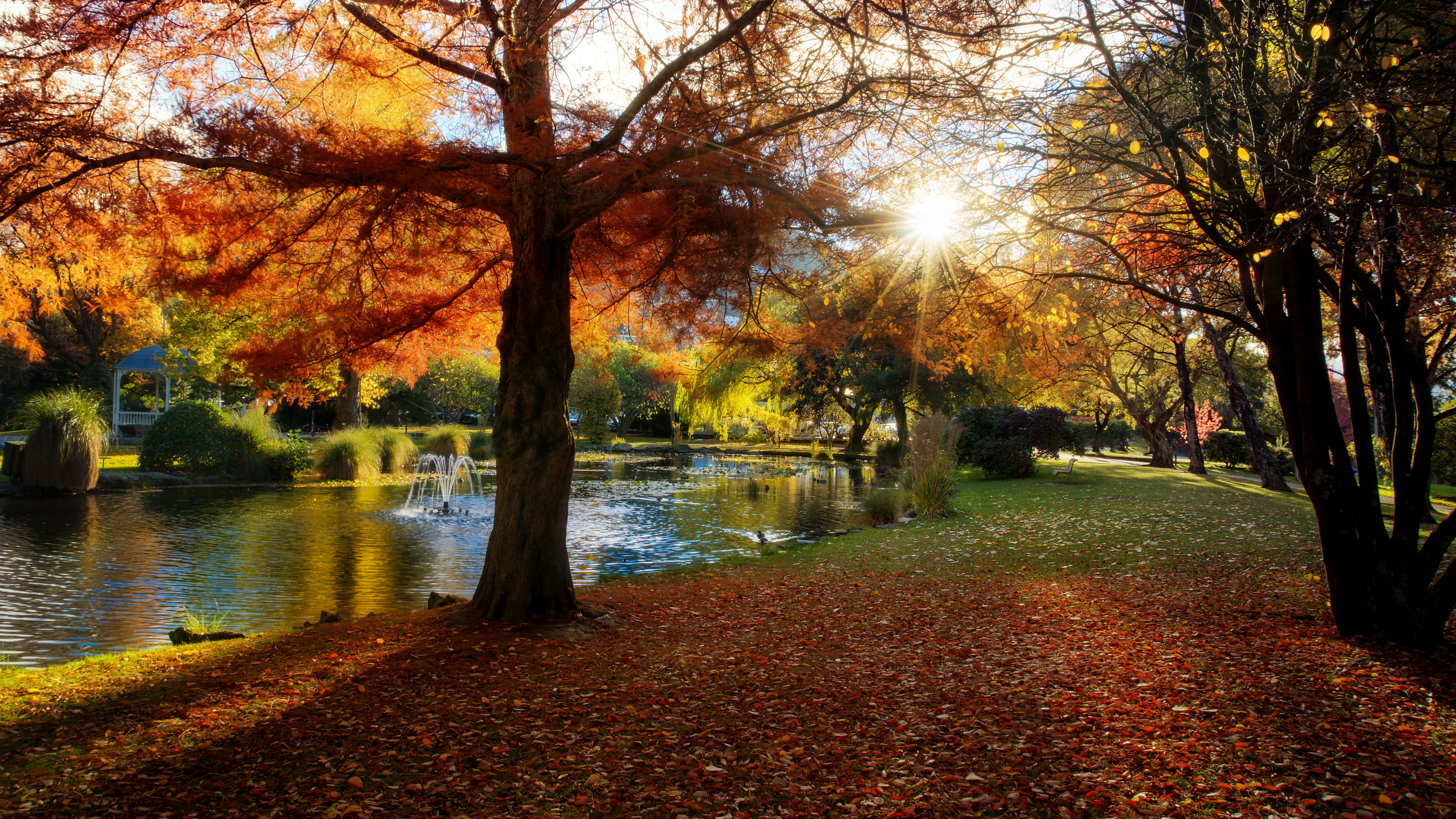 Landscape 4K Park Fall Trees Yellow Leaves Lake Fountain Sun New Zealand Queenstown 3840x2160
