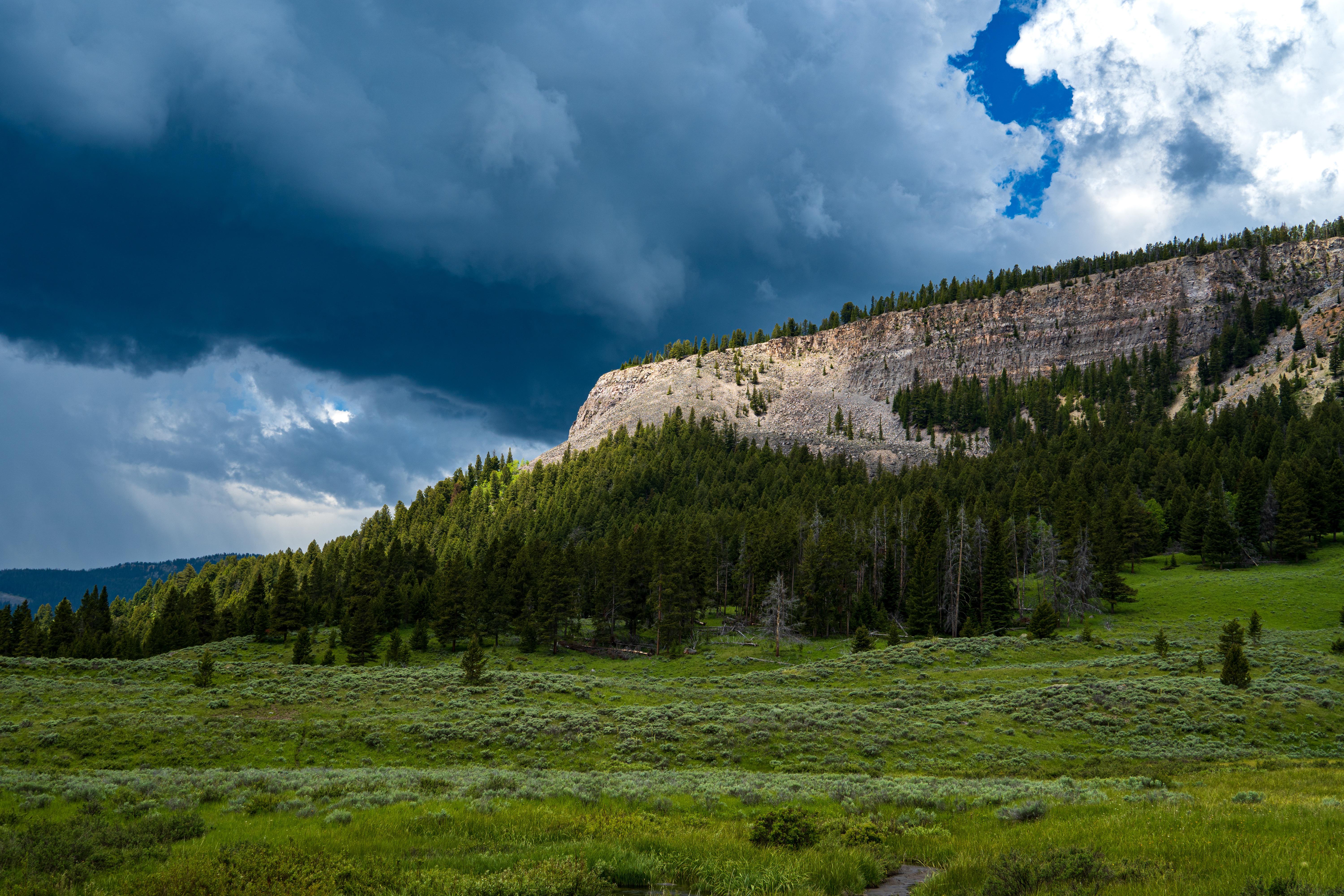 Clouds Landscape Nature Forest Cliff Field Sky Trees Grass Green Montana 6000x4000