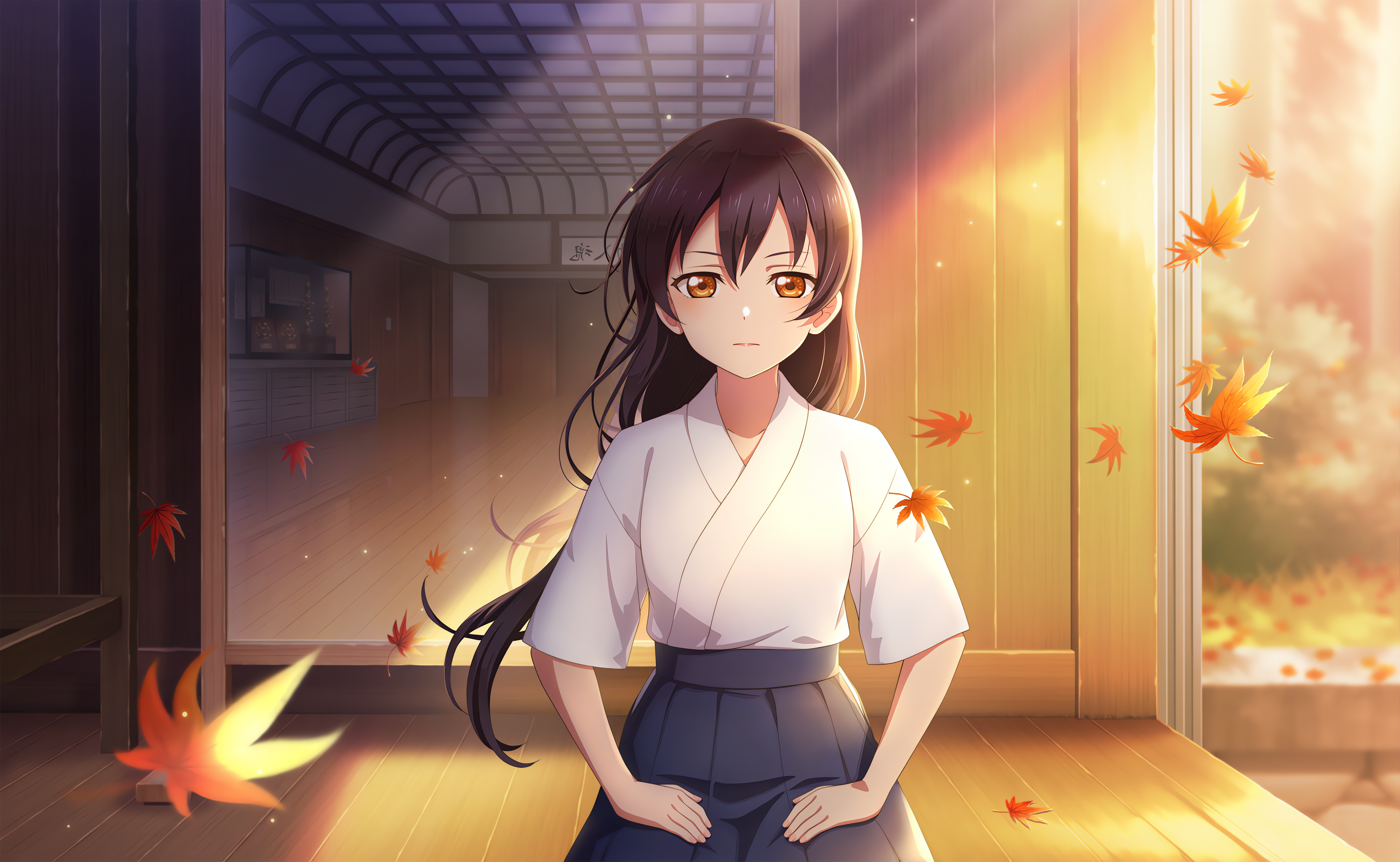 Sonoda Umi Love Live Anime Anime Girls Sitting Leaves Sunlight Long Hair Looking At Viewer Sunset Gl 4096x2520