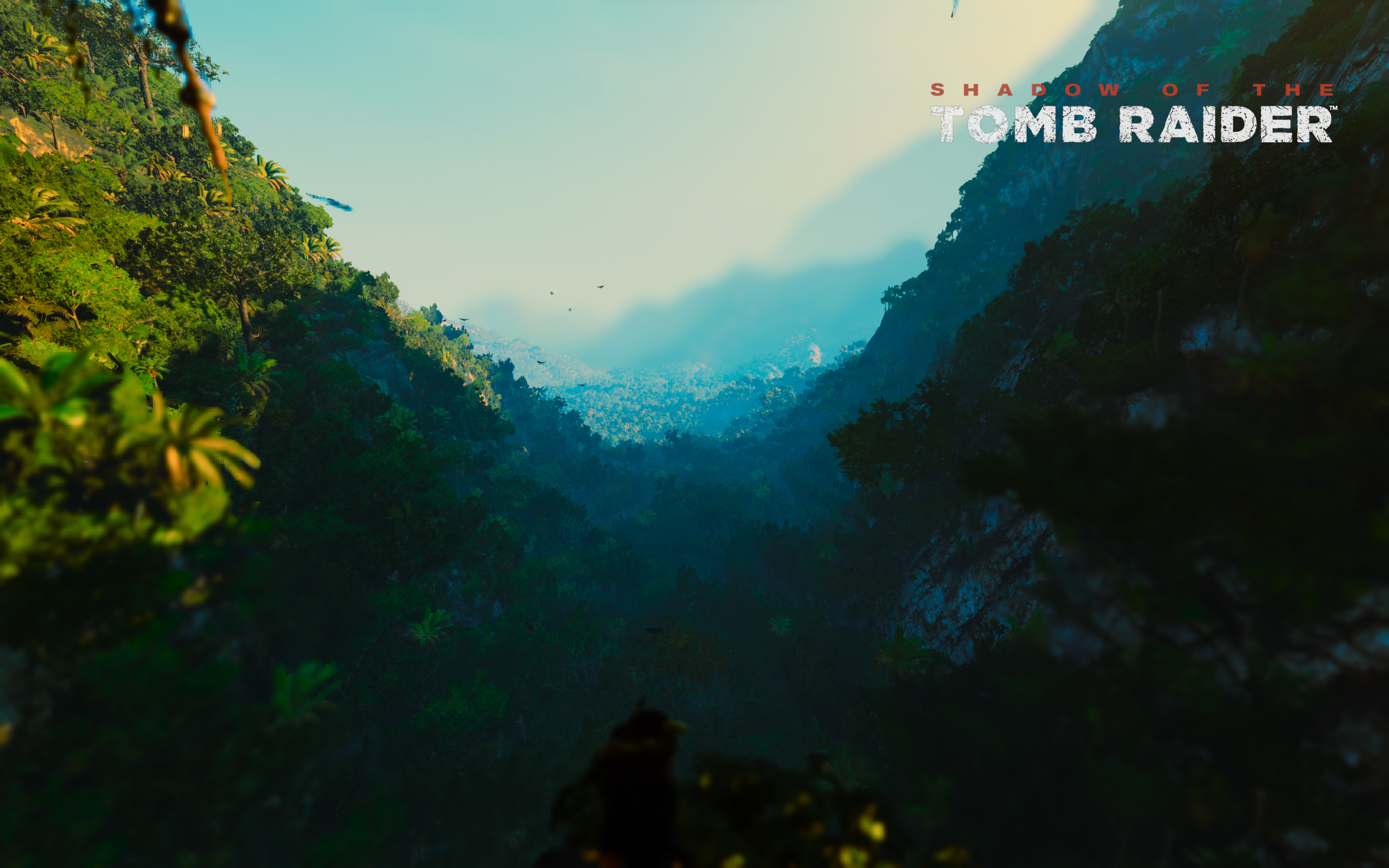 Tomb Raider 505 Games Video Games Logo Digital Art Forest Nature 2560x1600
