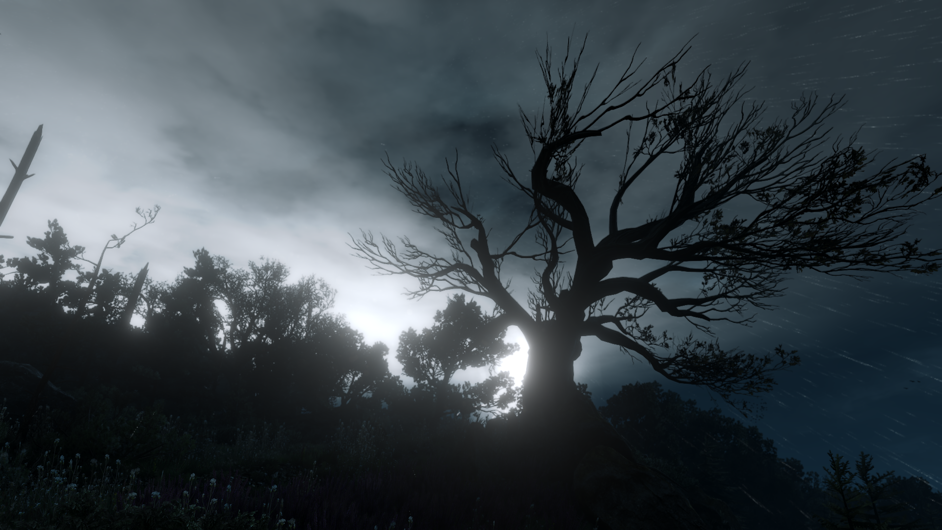 The Witcher 3 Wild Hunt The Witcher Video Game Landscape Medieval Screen Shot 1920x1080