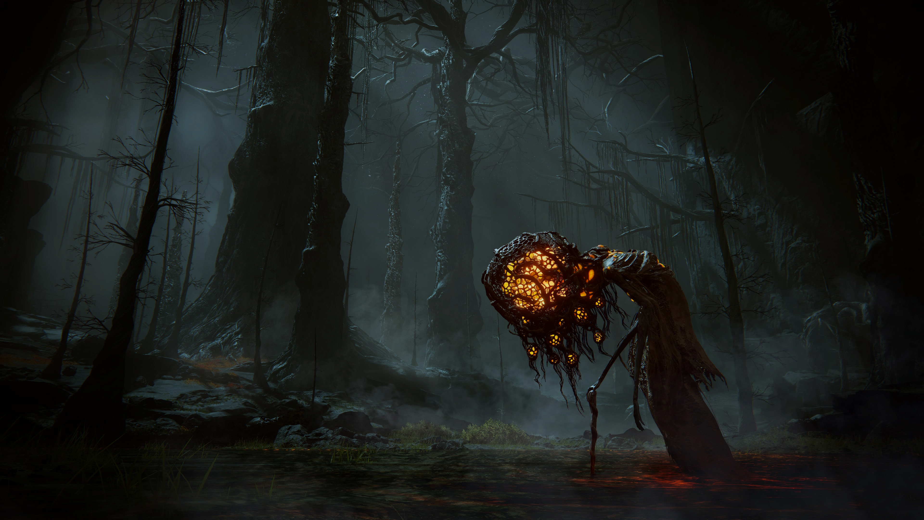 Elden Ring From Software Video Games PlayStation Xbox Dark Forest Gloomy 3840x2160