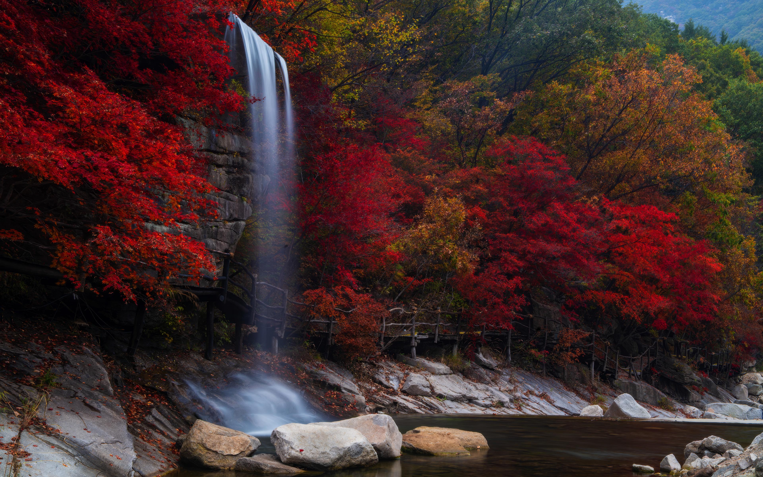 Nature Trees Forest Rocks Water Long Exposure Waterfall Leaves Liaoning China 2560x1600