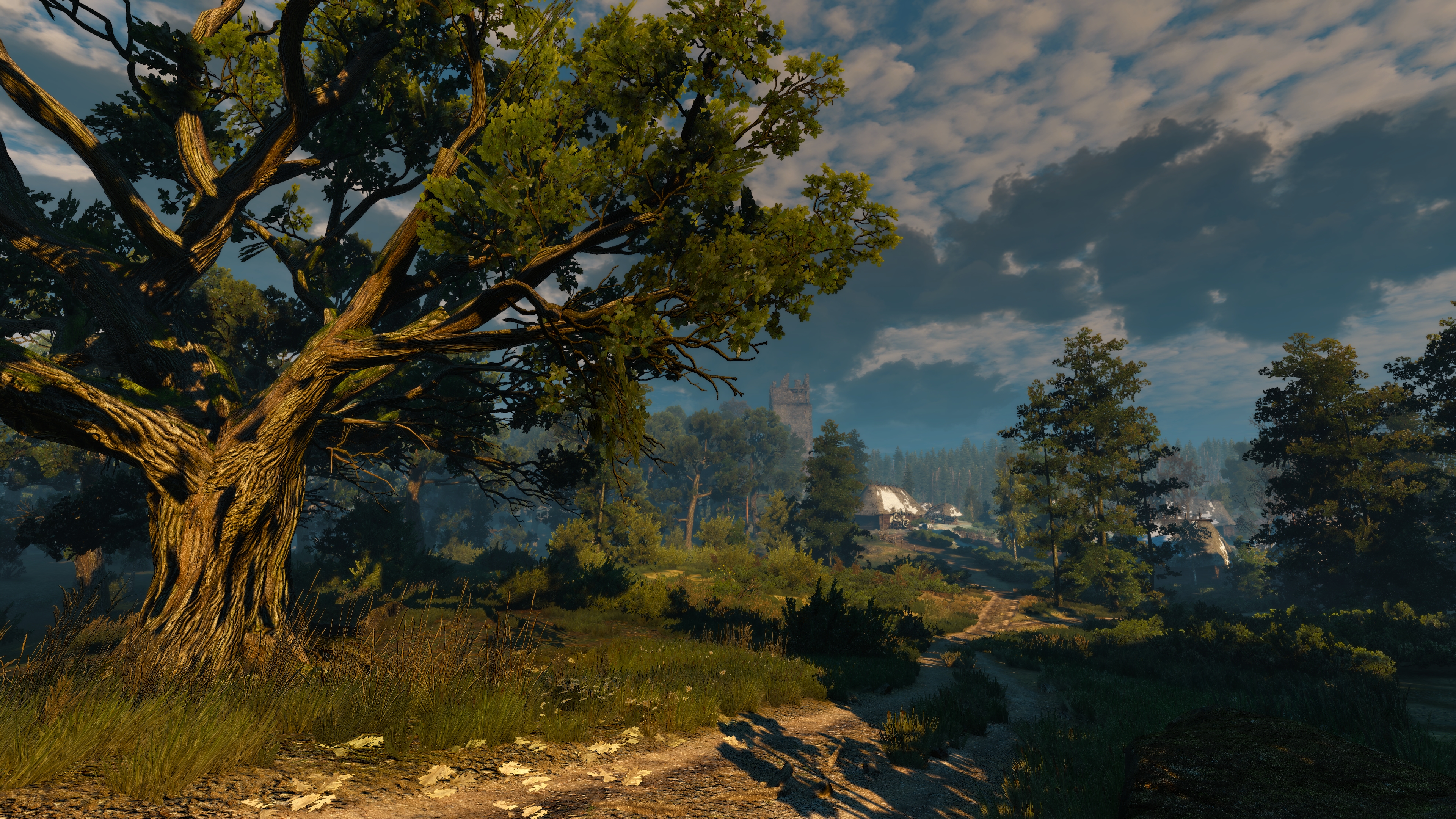 The Witcher 3 Wild Hunt Screen Shot Video Games Trees Clouds Road Forest 3840x2160