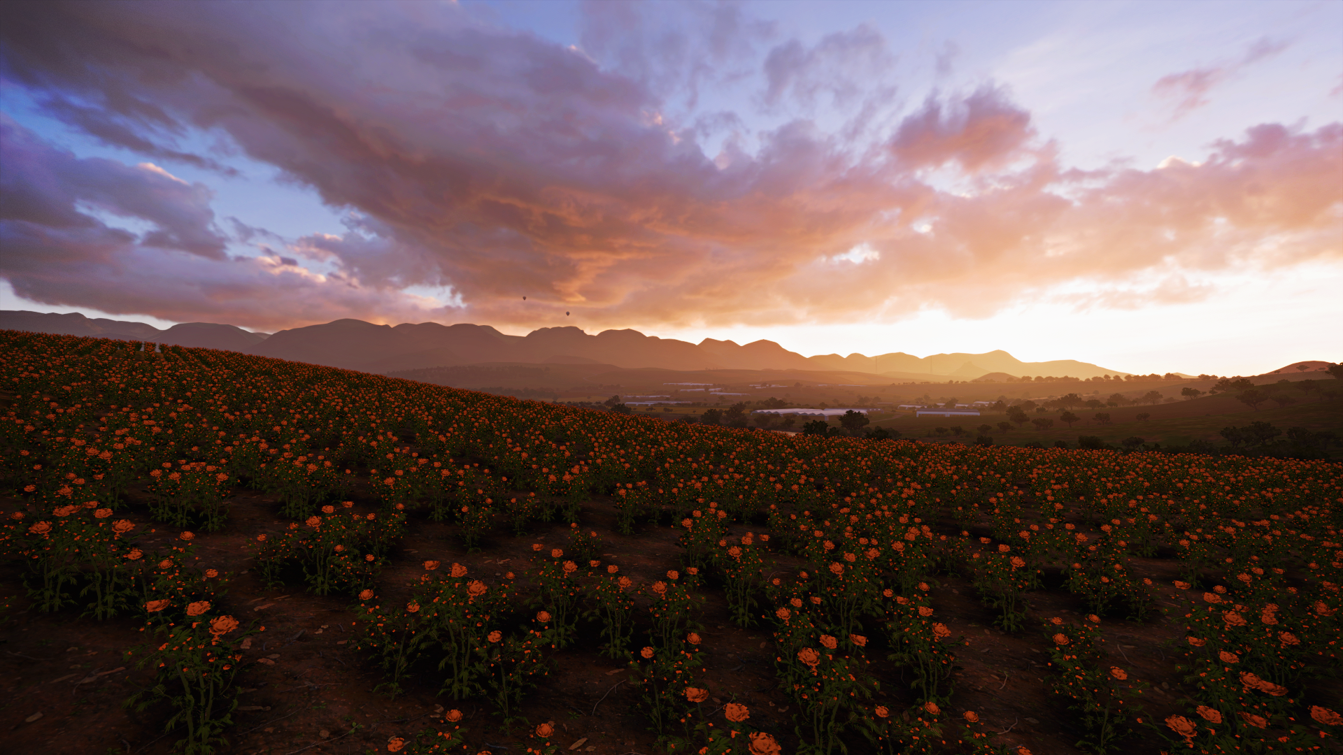 Video Games Forza Forza Horizon 5 Screen Shot Landscape Sky Clouds Flowers 1920x1080